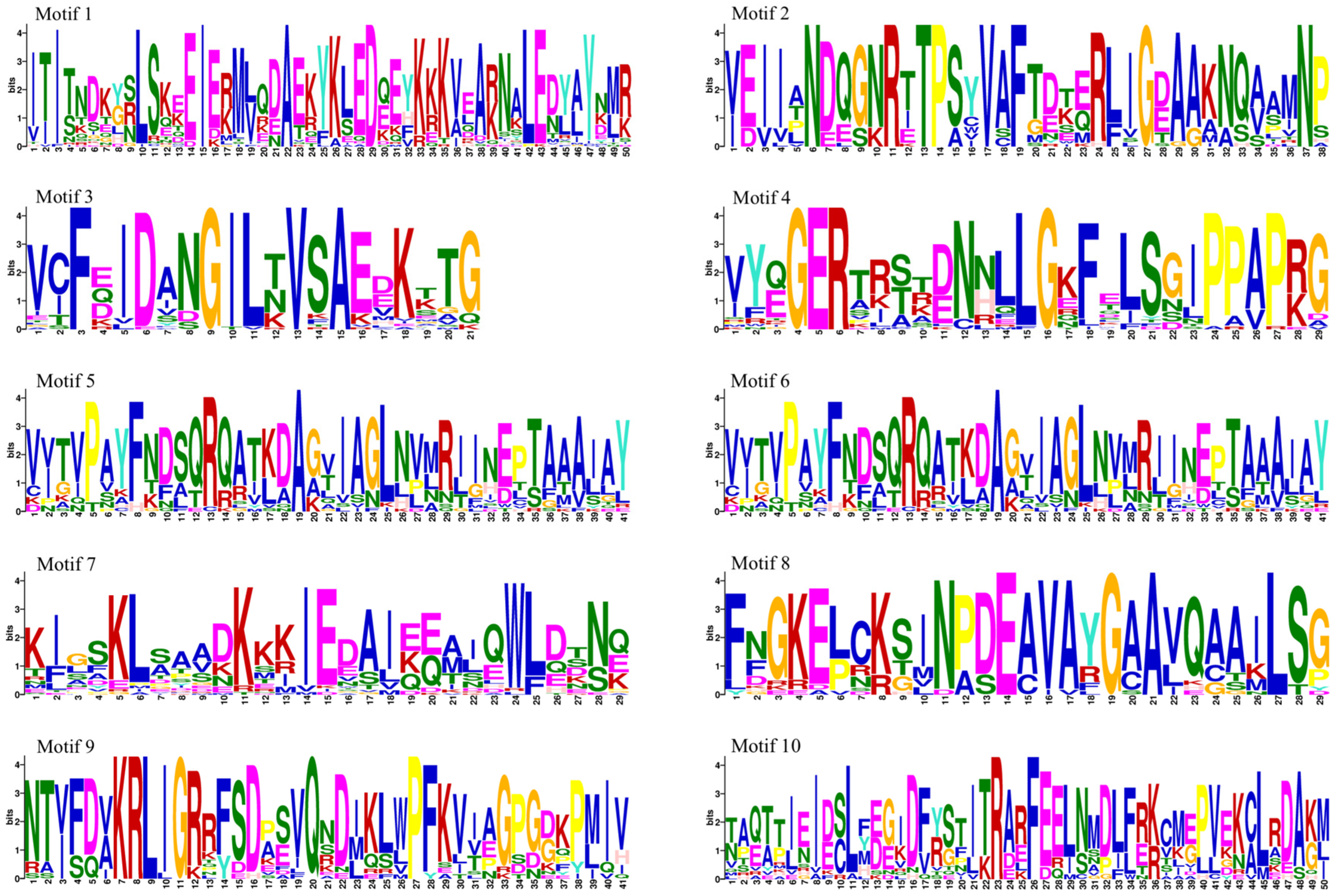 Biology 14 00602 g003 Biology 14 00602 g003