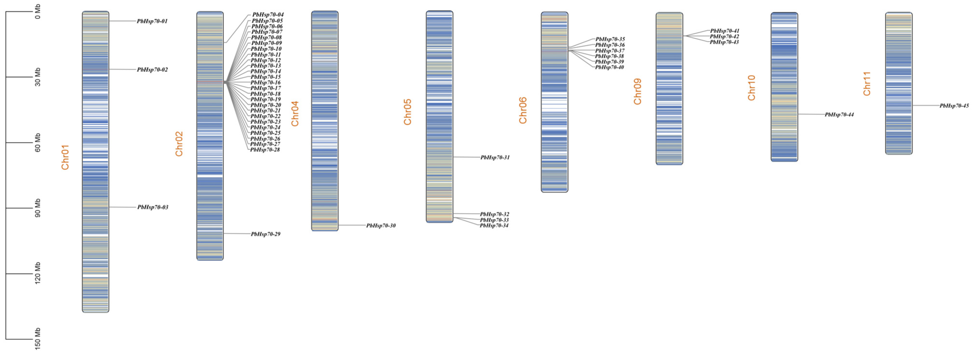 Biology 14 00602 g004 Biology 14 00602 g004