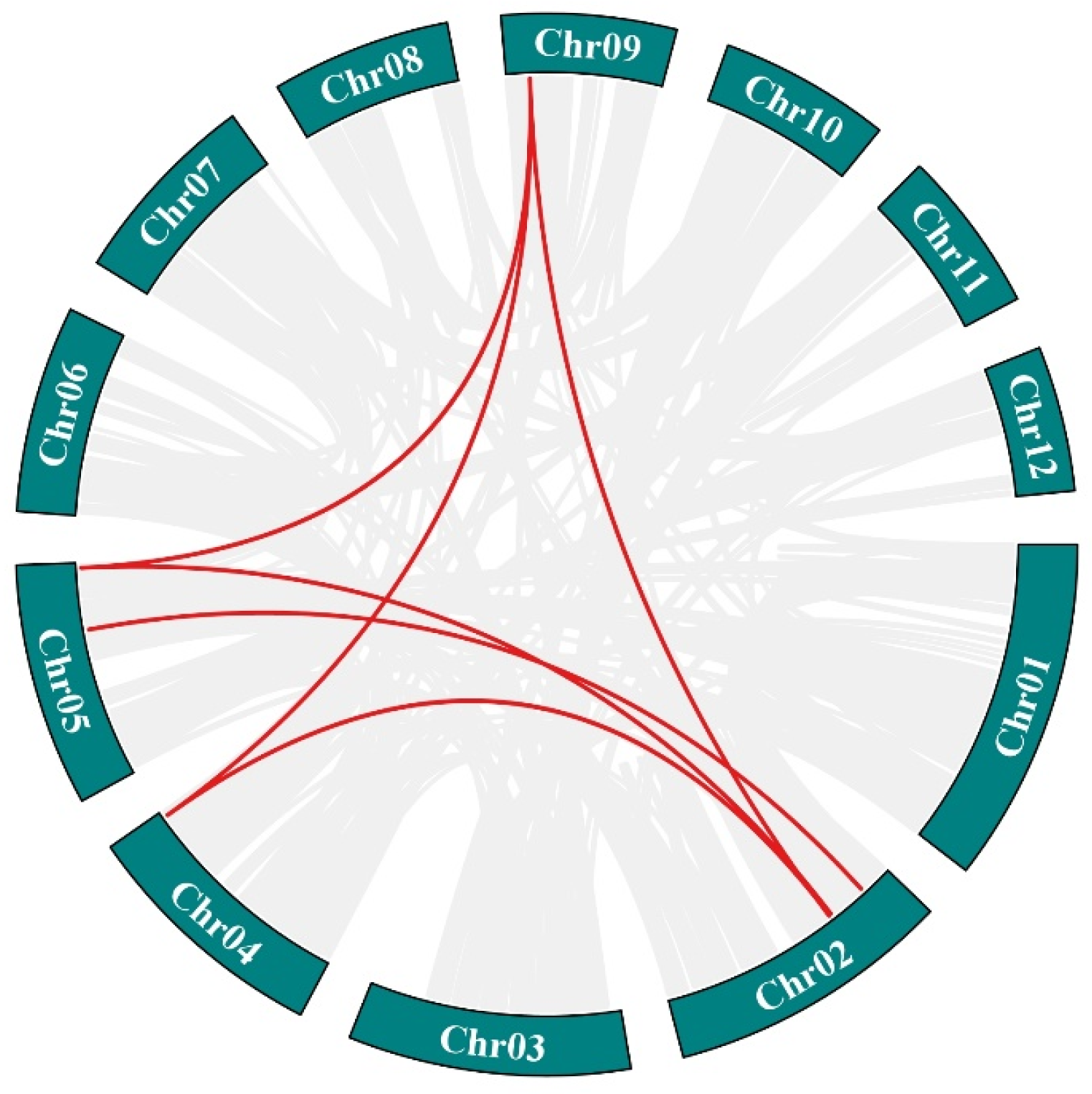 Biology 14 00602 g005 Biology 14 00602 g005