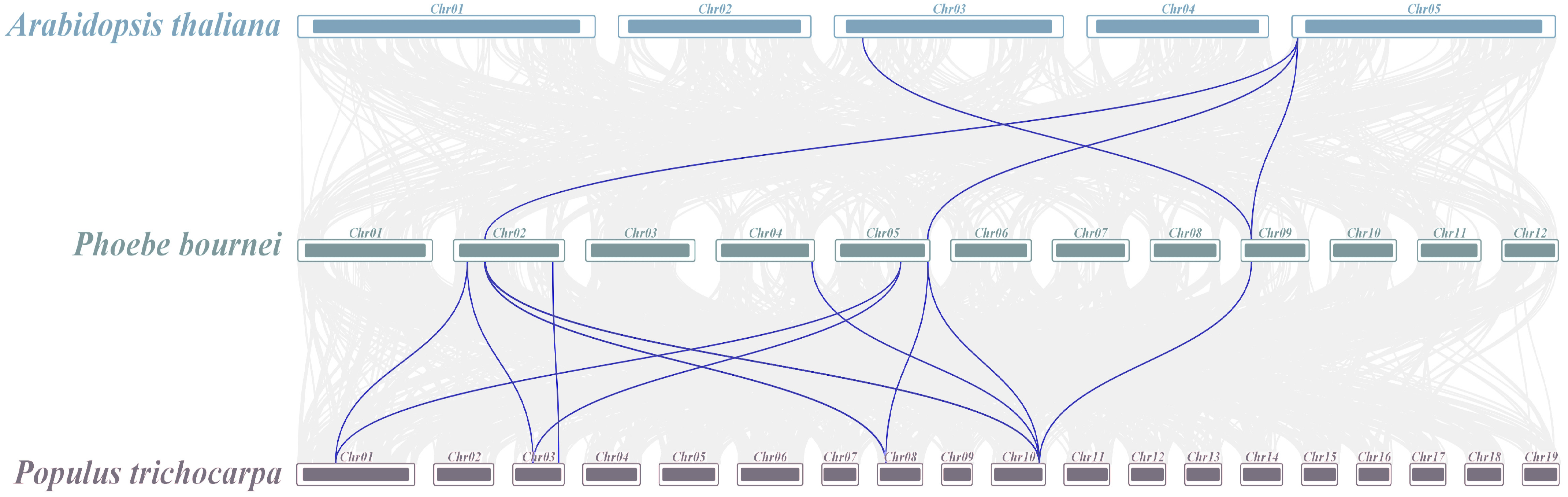 Biology 14 00602 g006 Biology 14 00602 g006