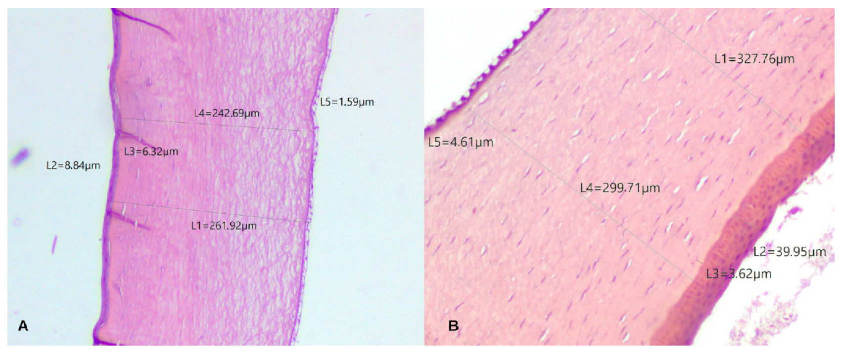 Biology 14 00603 g001