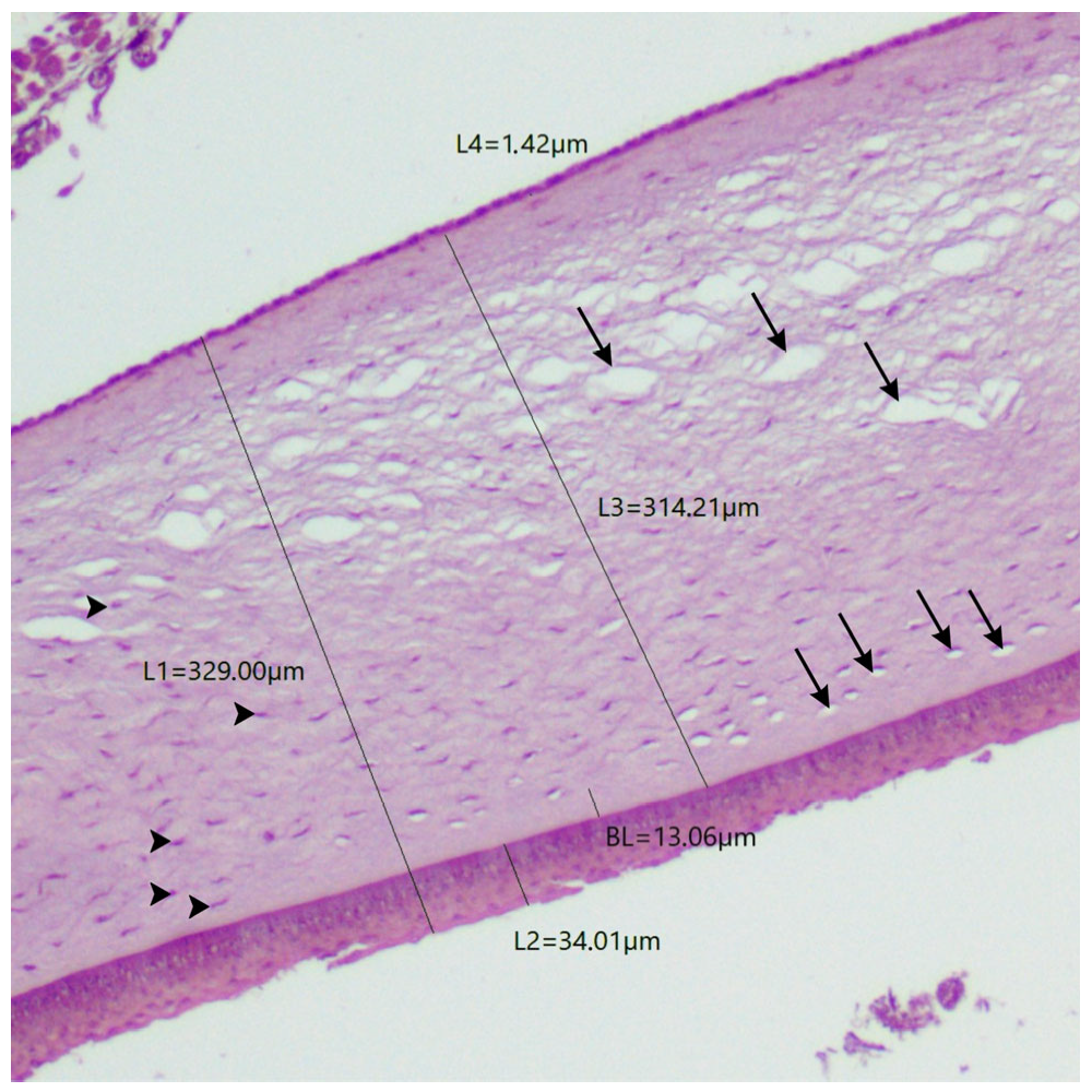 Biology 14 00603 g005