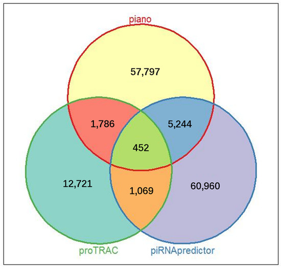Porcine Ovarian piRNA Dynamics: A Comparative Study During