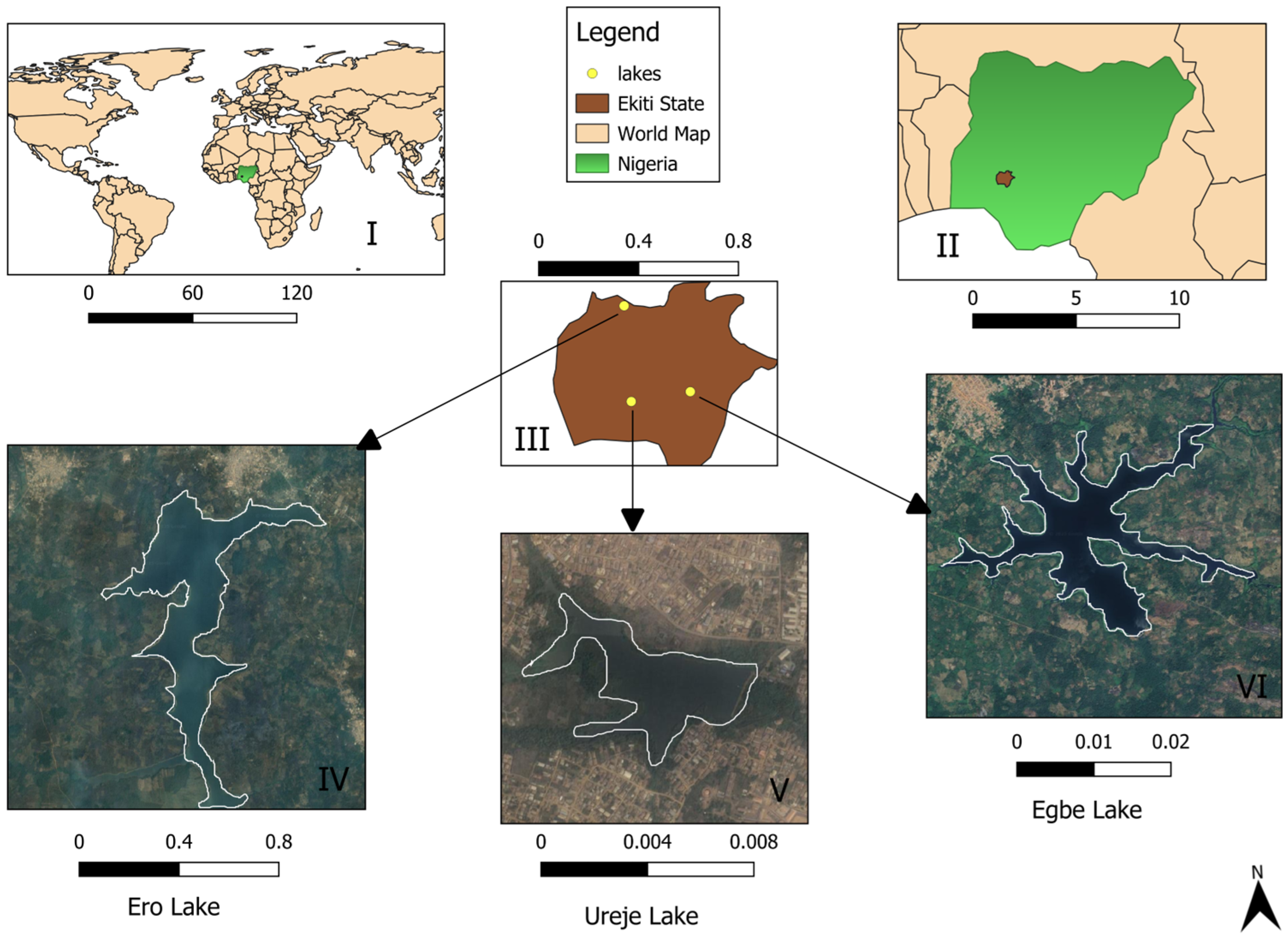 Biology 14 00612 g001