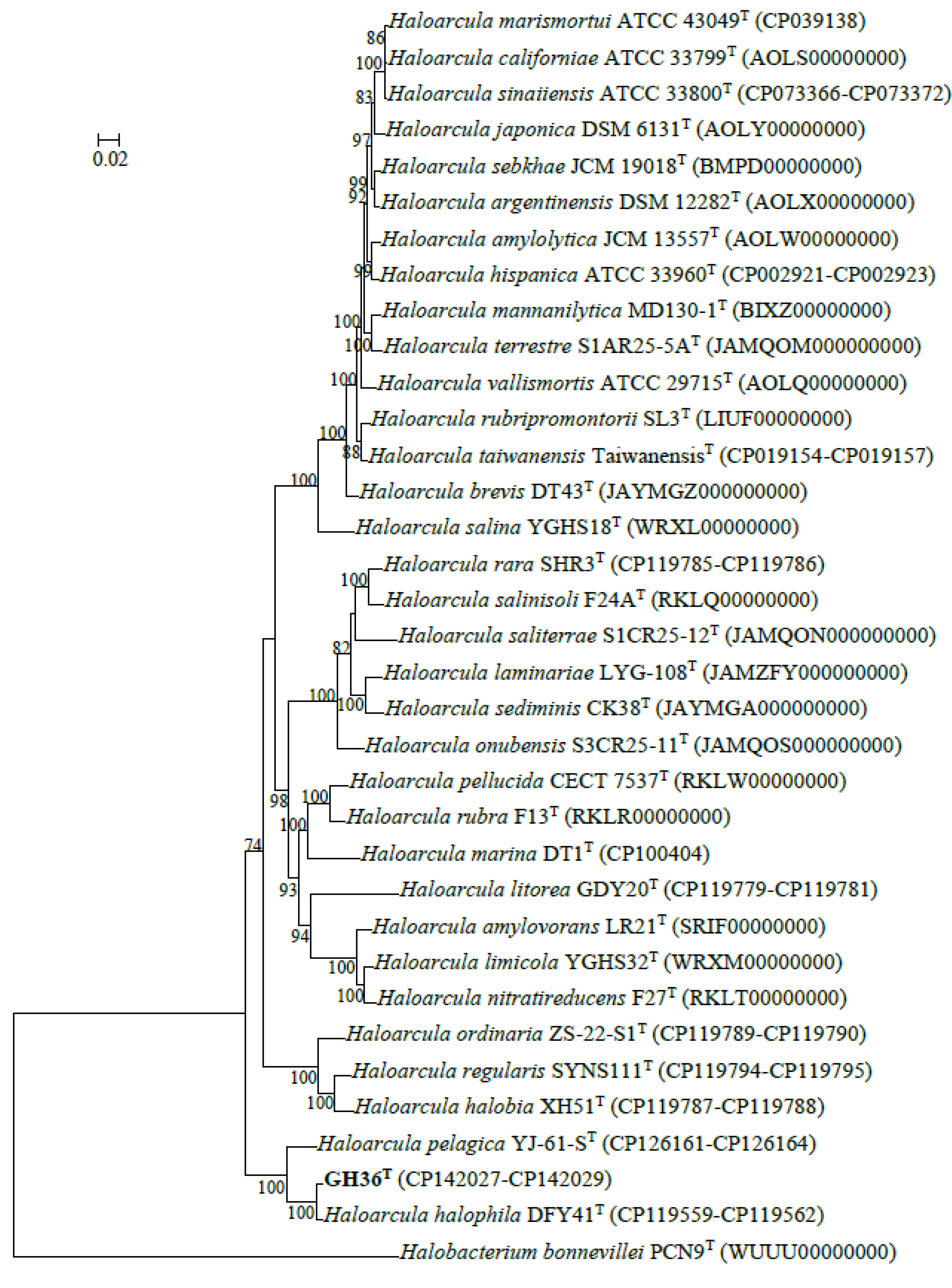 Biology 14 00615 g001