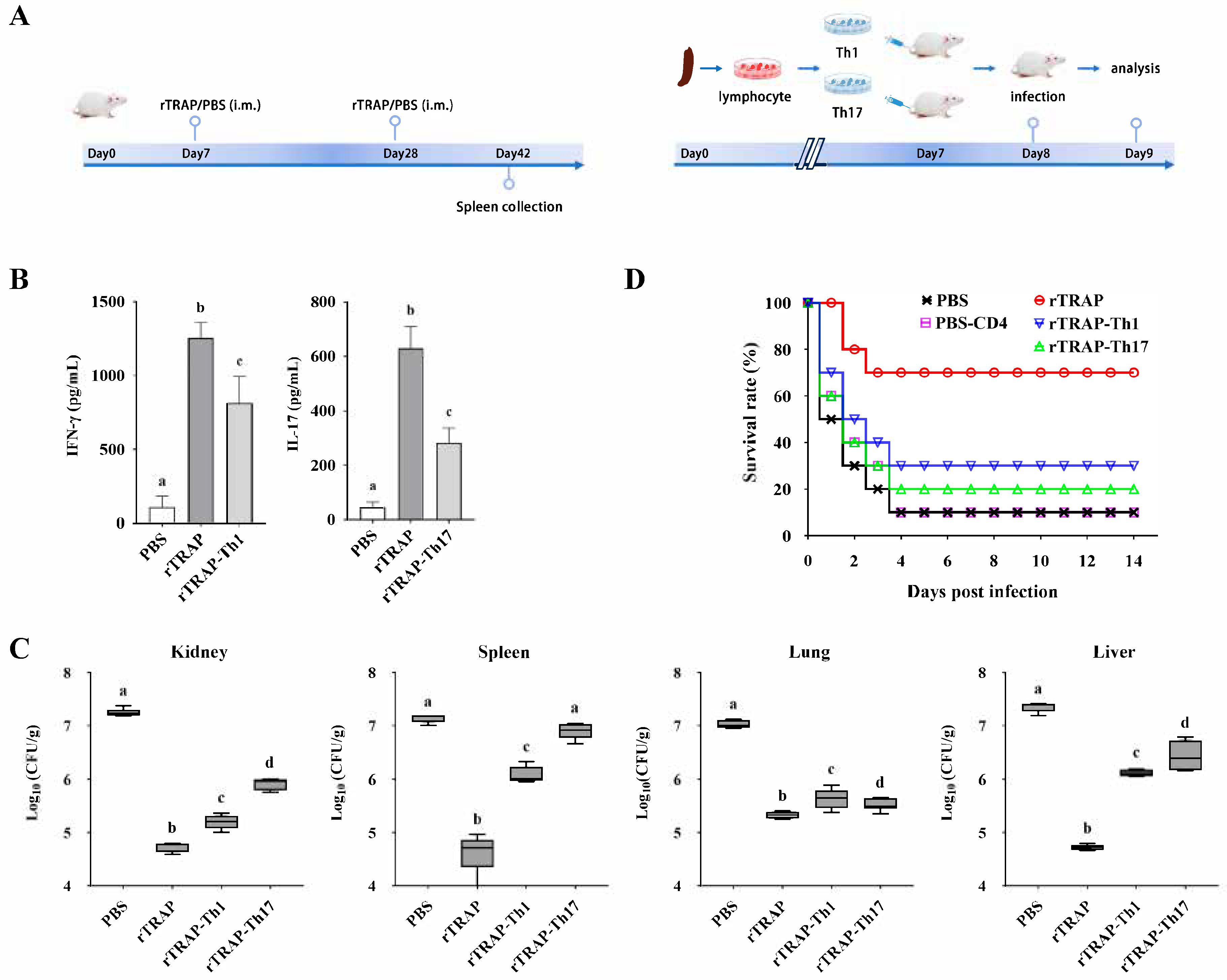 Biology 14 00616 g002 Biology 14 00616 g002
