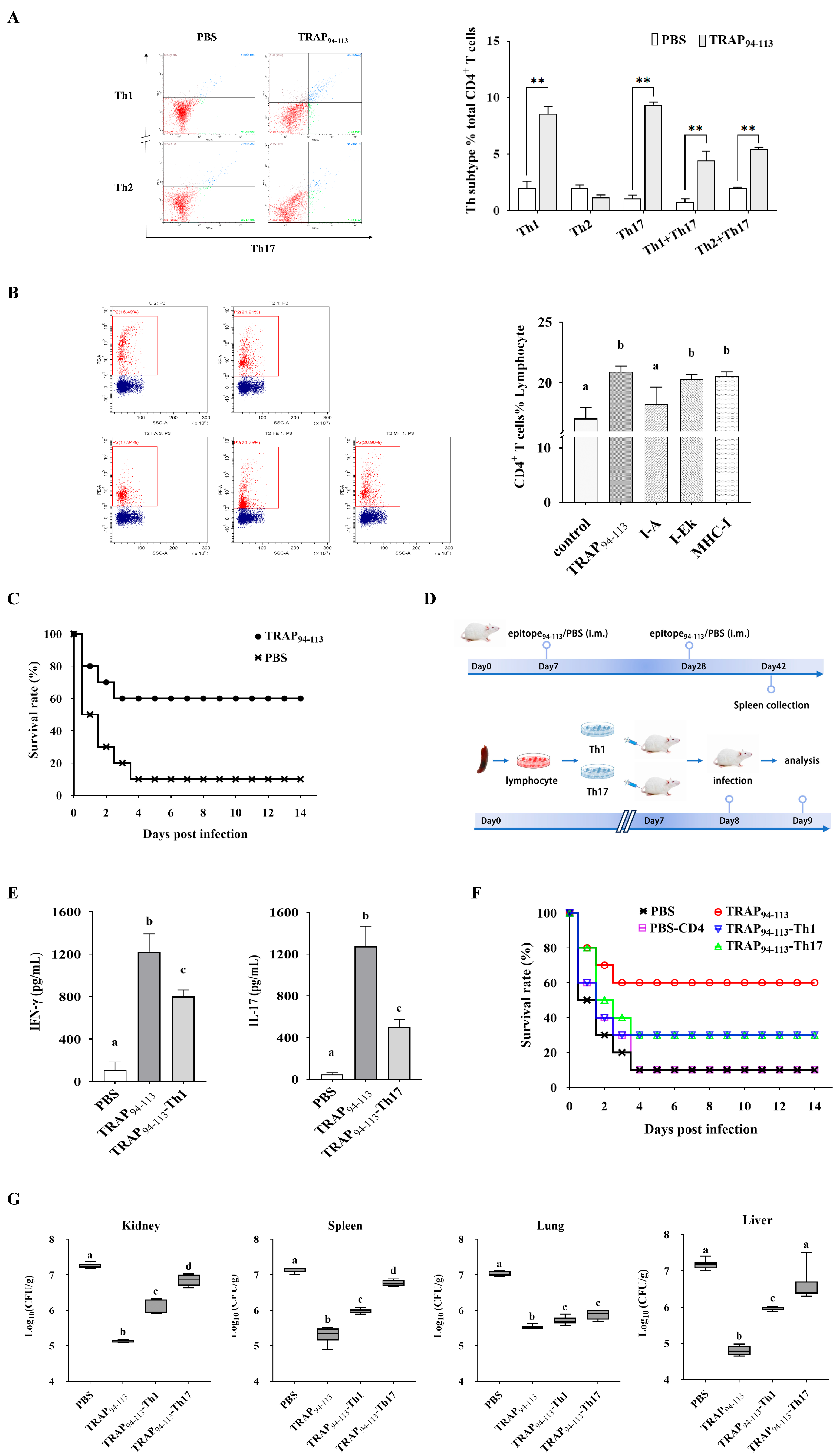 Biology 14 00616 g004 Biology 14 00616 g004