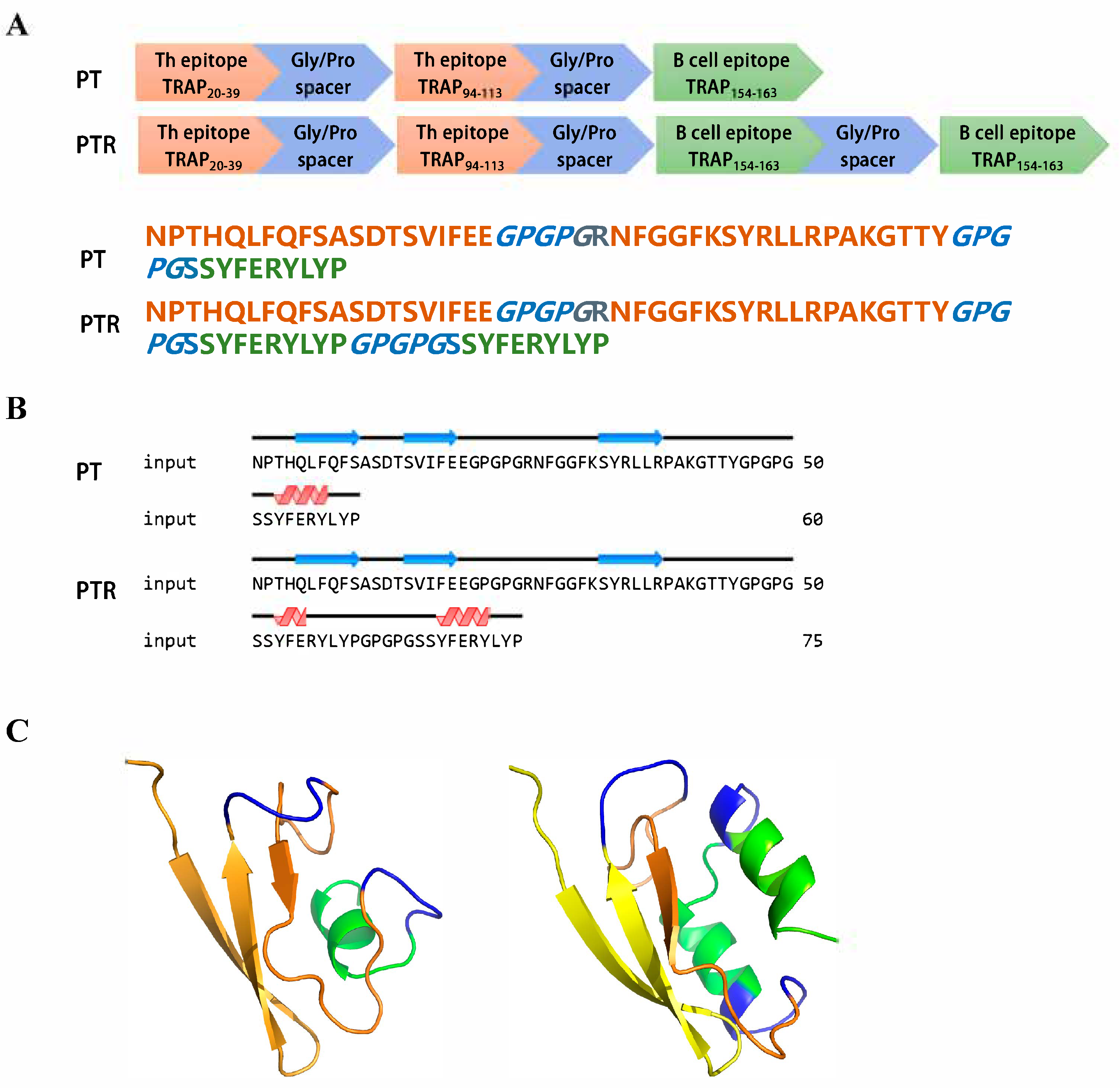 Biology 14 00616 g005 Biology 14 00616 g005