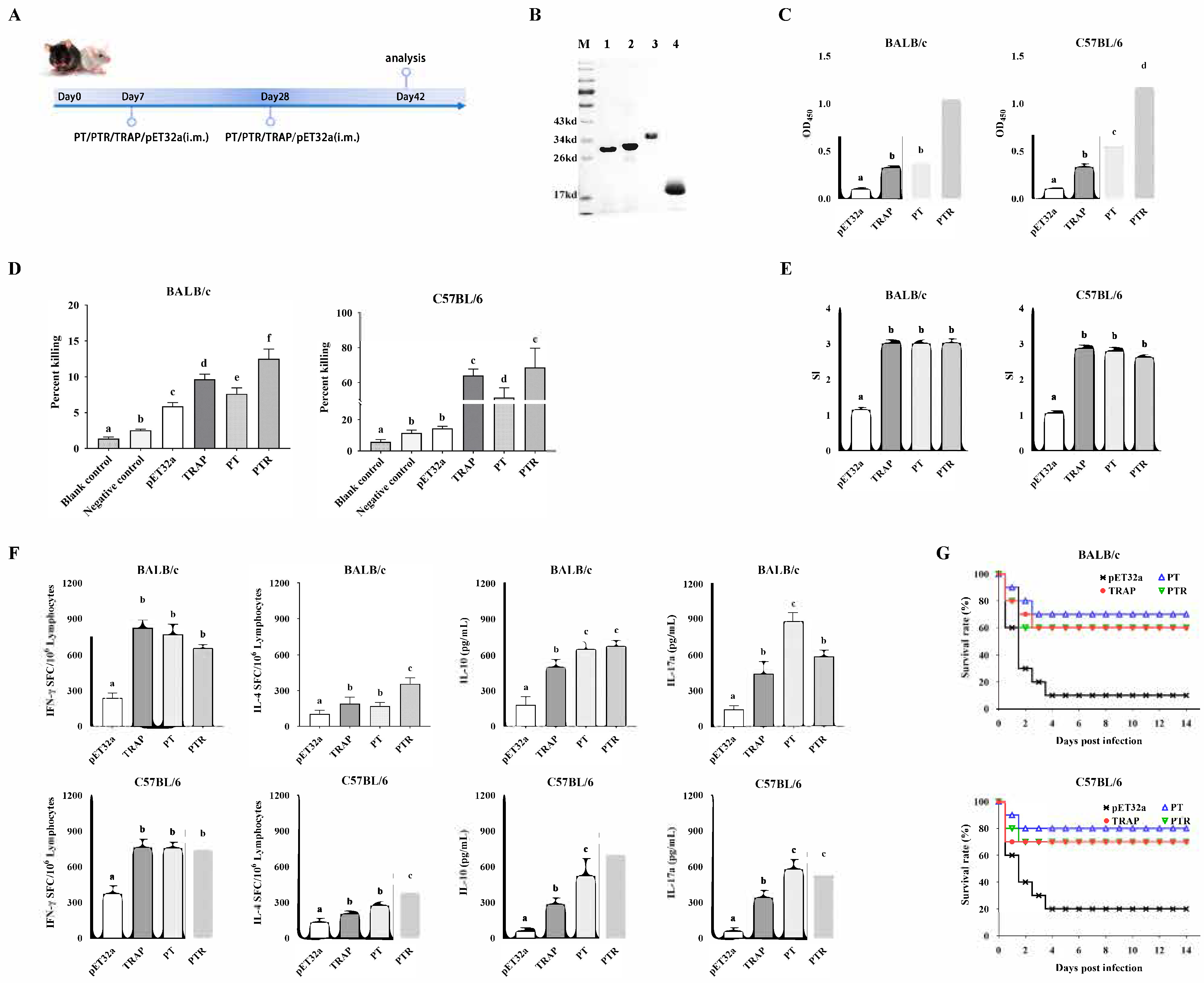Biology 14 00616 g006 Biology 14 00616 g006