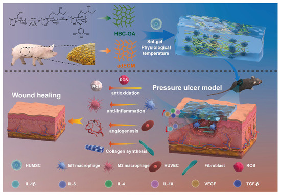 Recent Advances on Chitosan-Based Thermosensitive Hydrogels