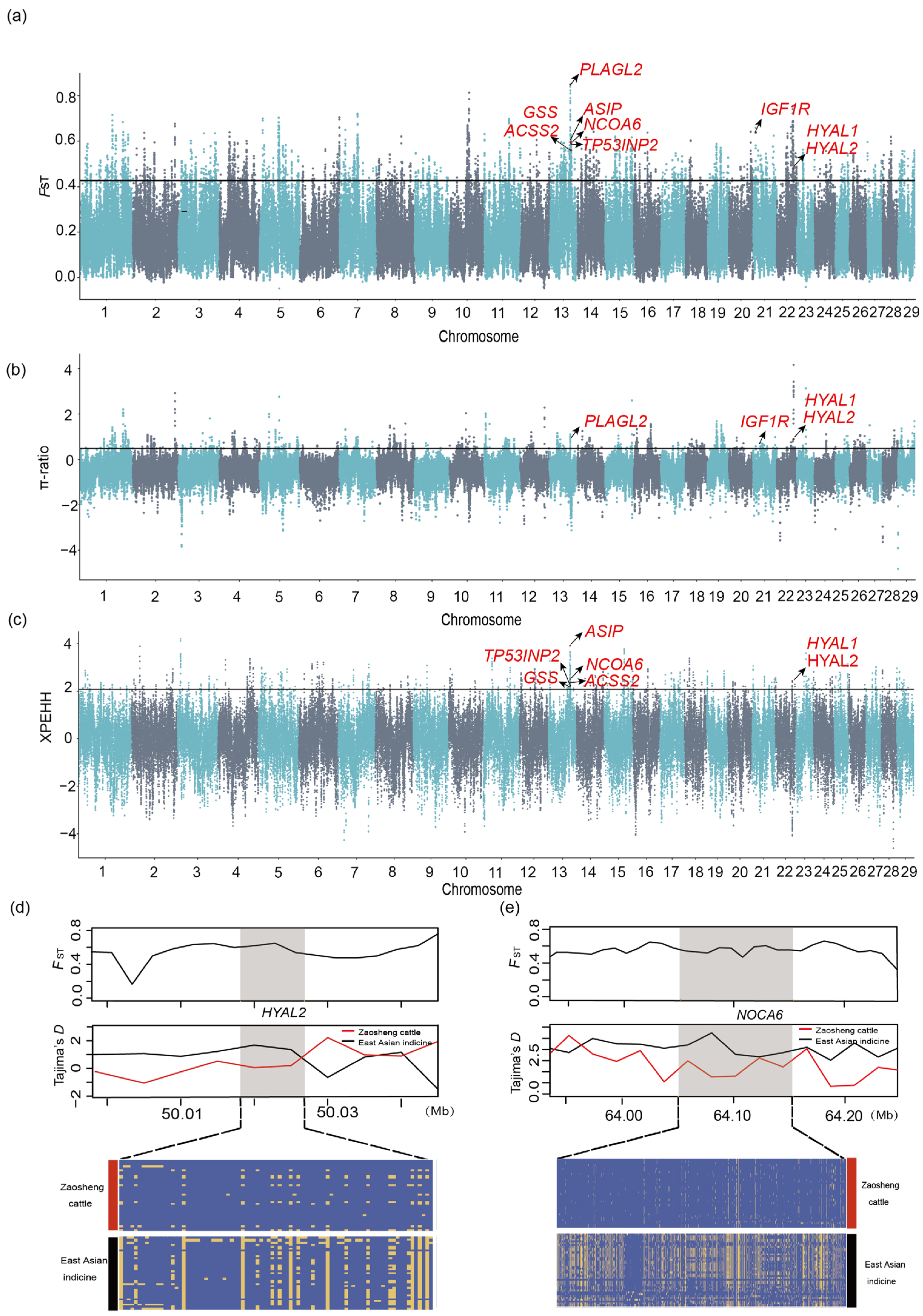 Biology 14 00623 g002