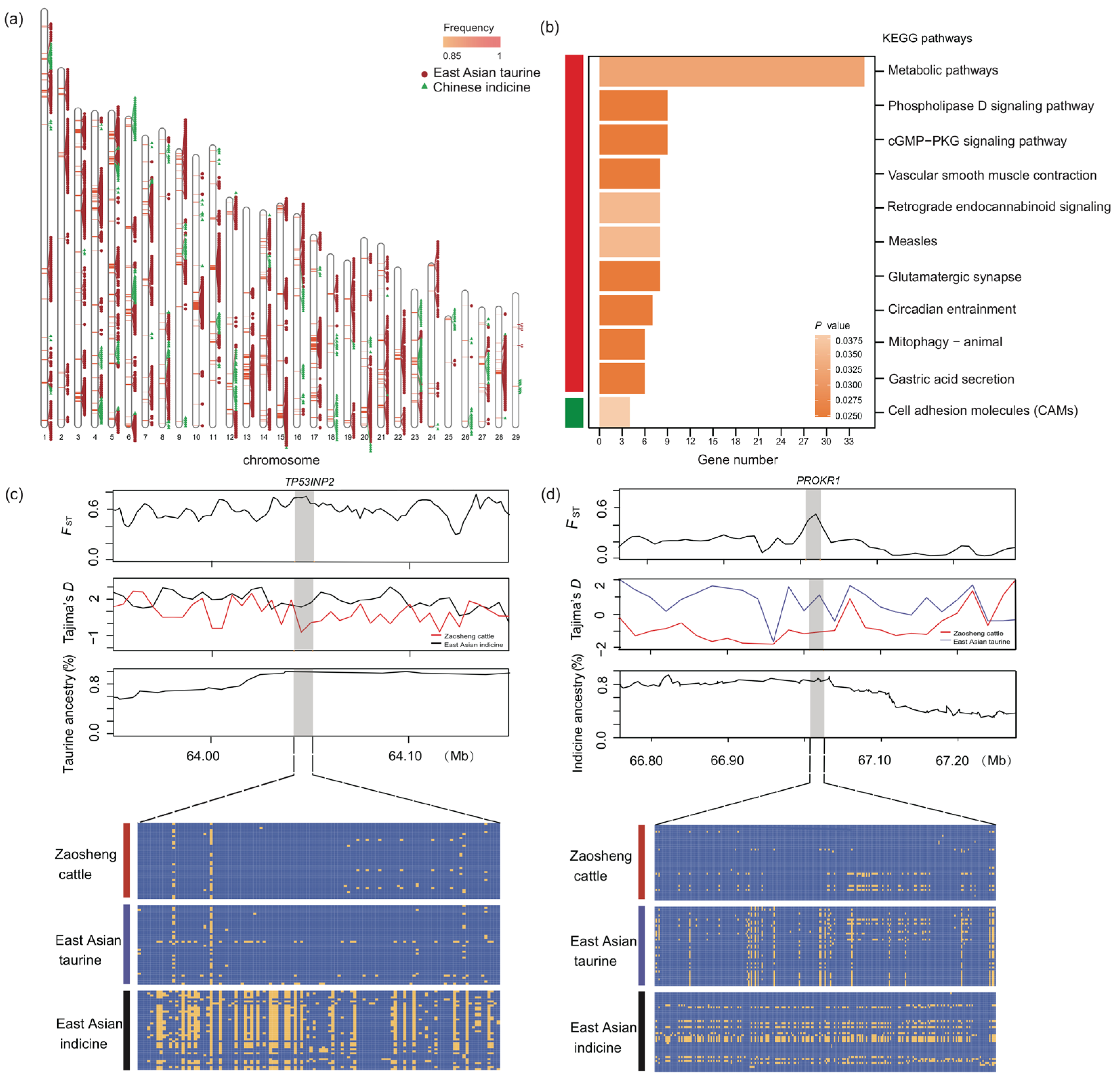 Biology 14 00623 g004