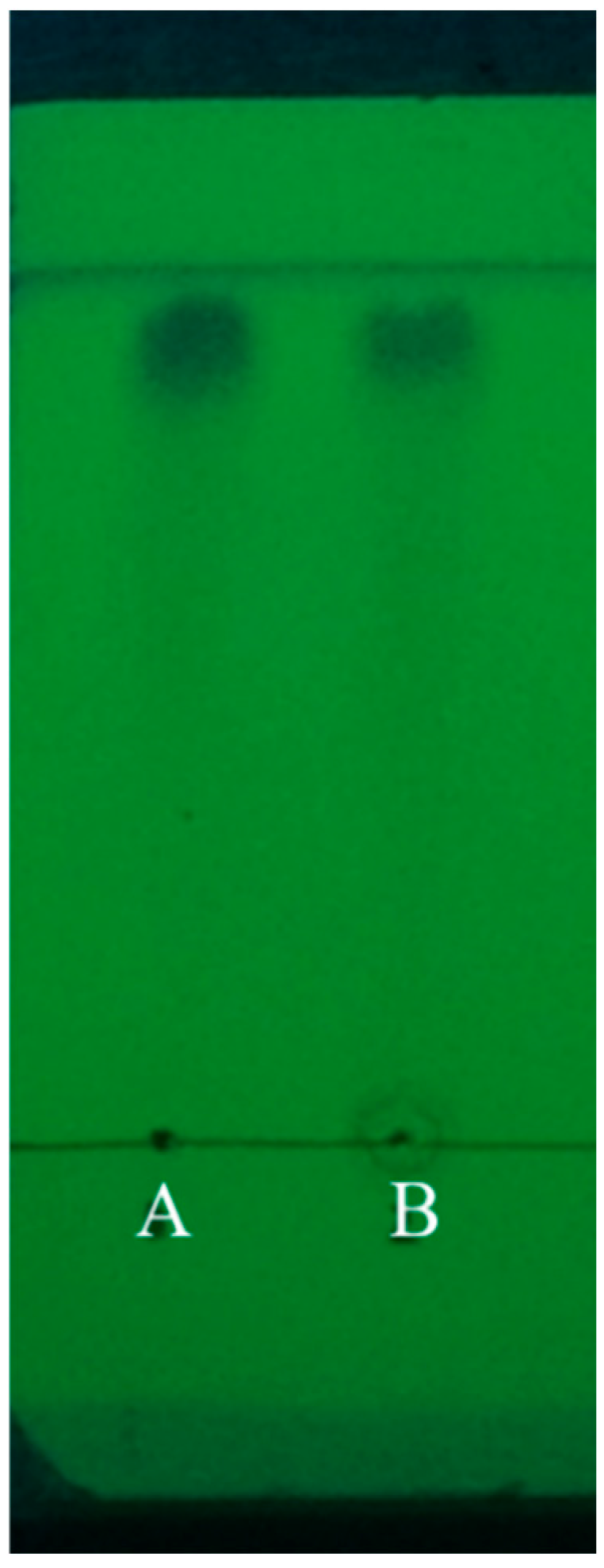 Biology 14 00625 g001