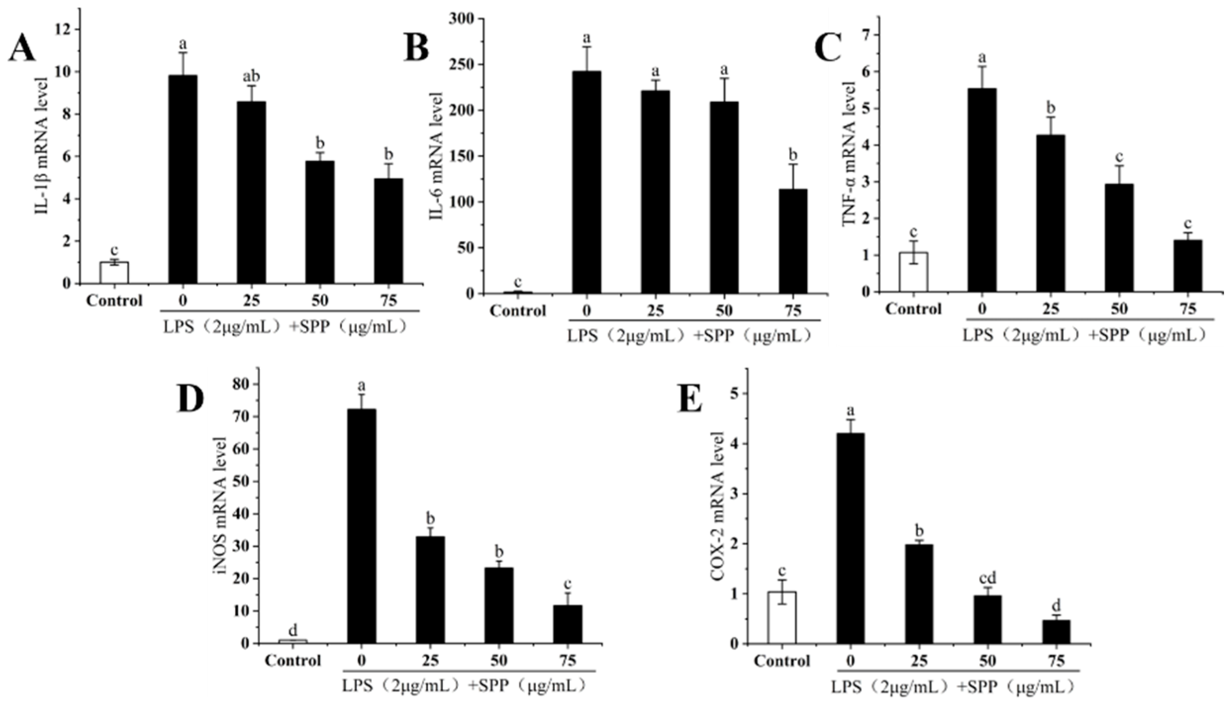 Biology 14 00625 g006