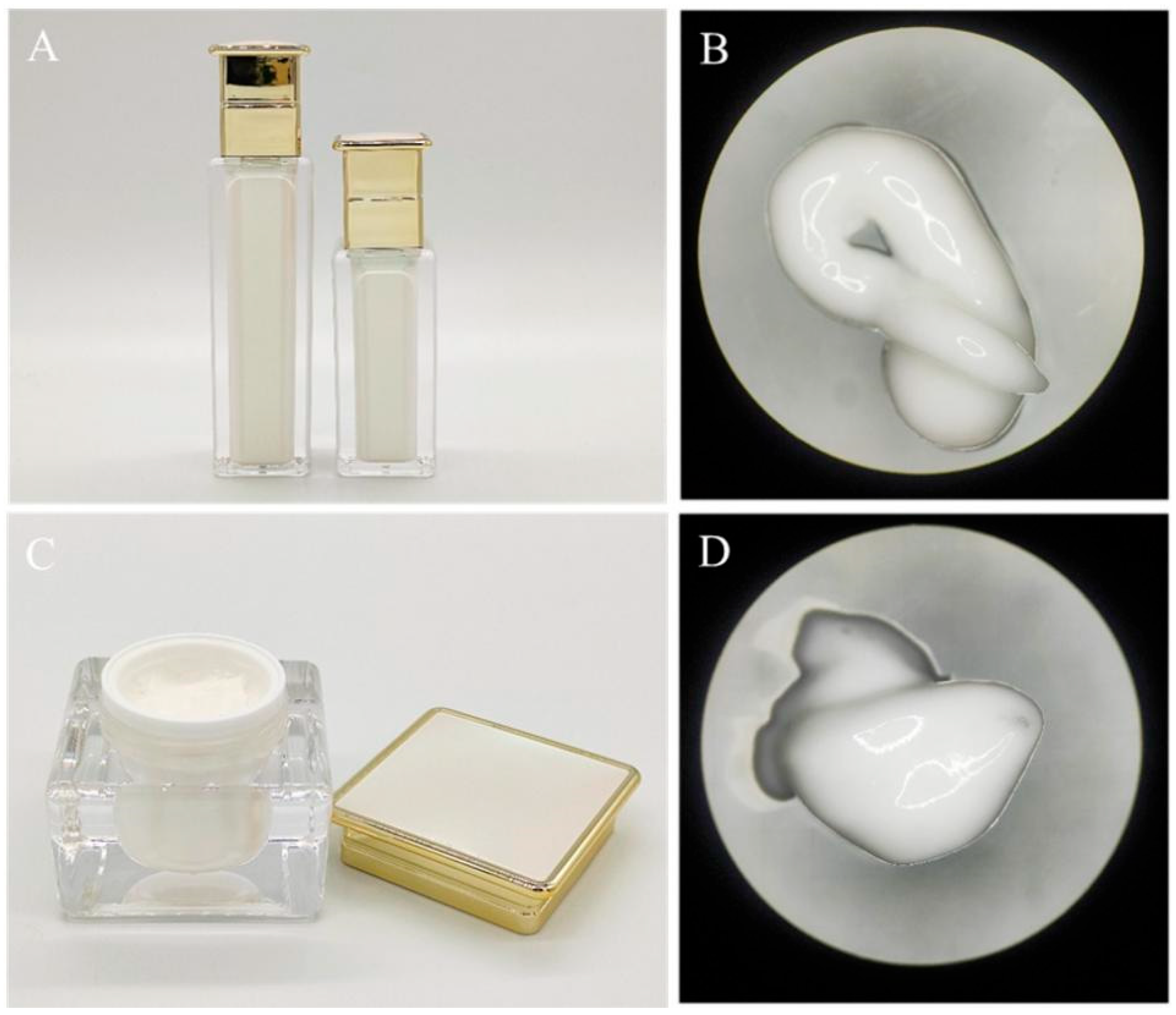 Biology 14 00625 g007