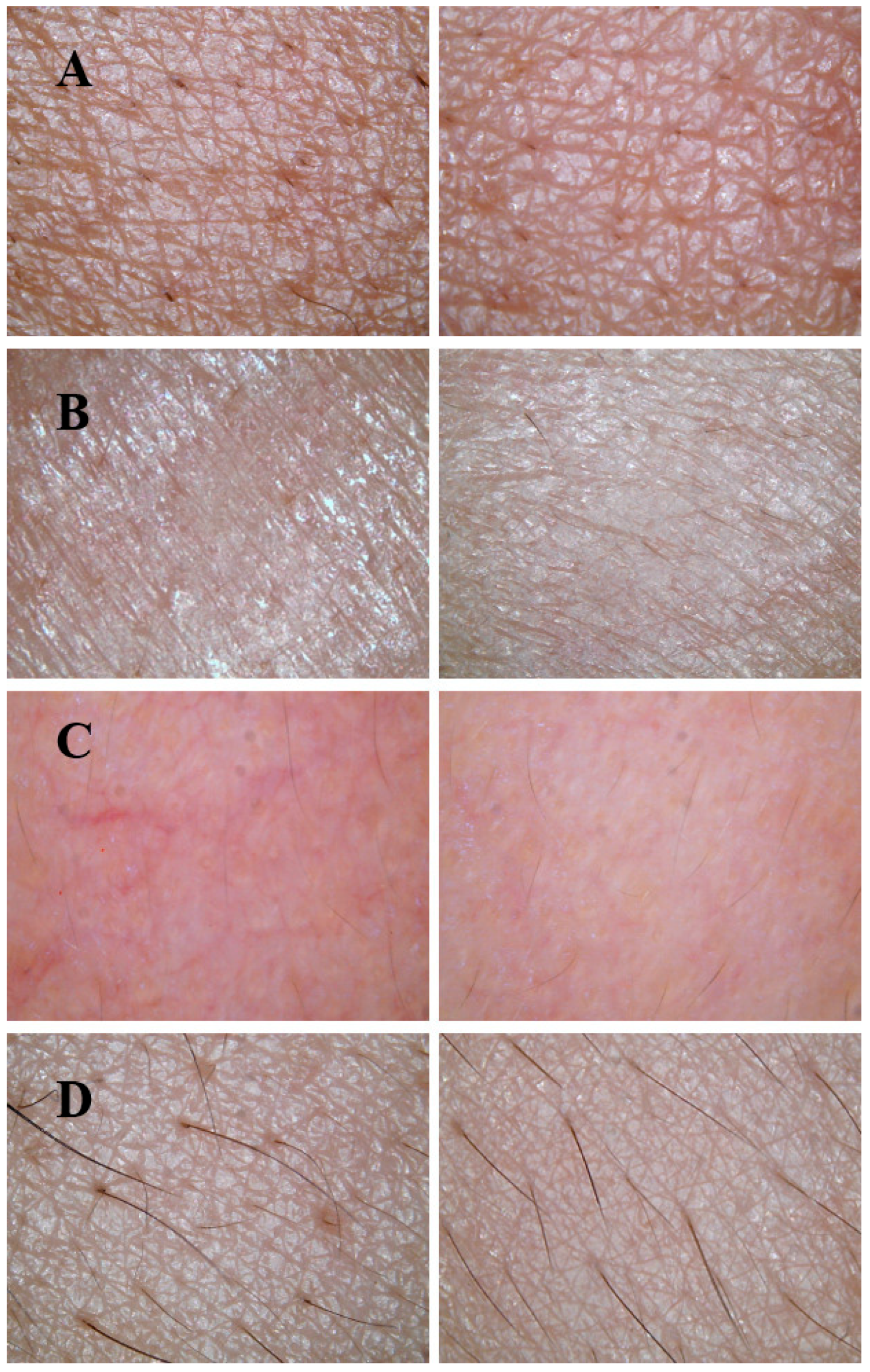 Biology 14 00625 g009