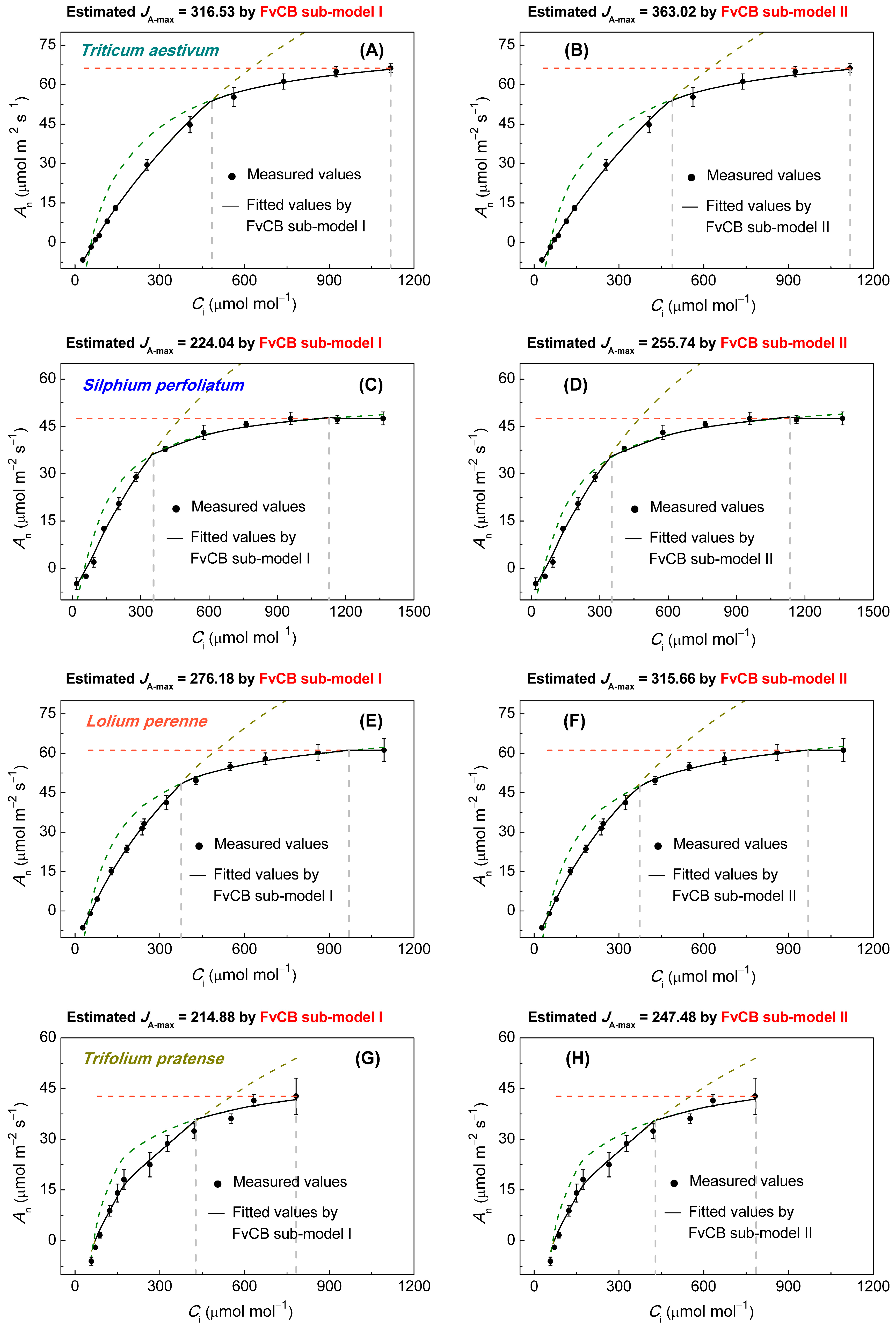 Biology 14 00630 g001