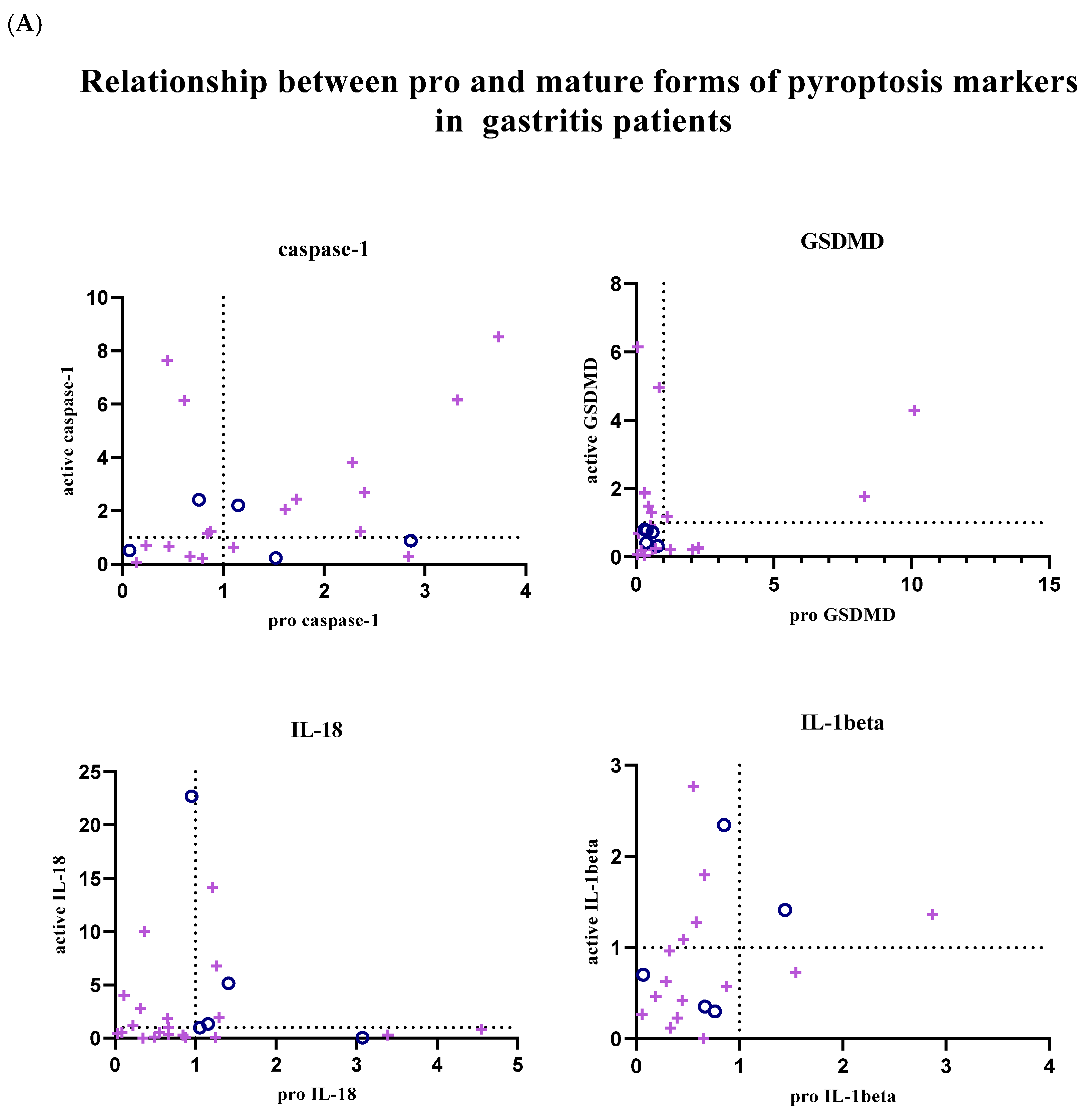Biology 14 00634 g004a