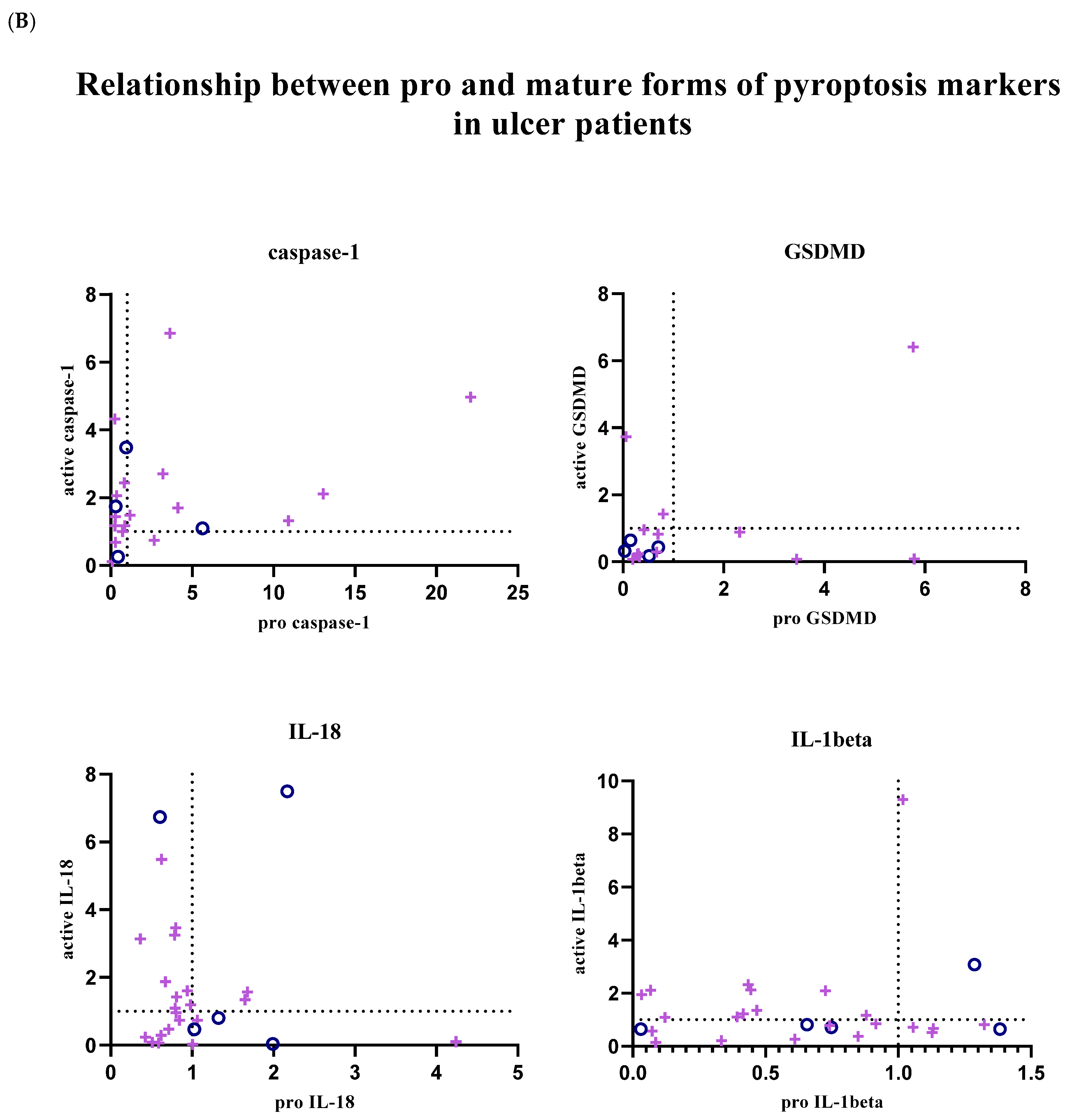 Biology 14 00634 g004b