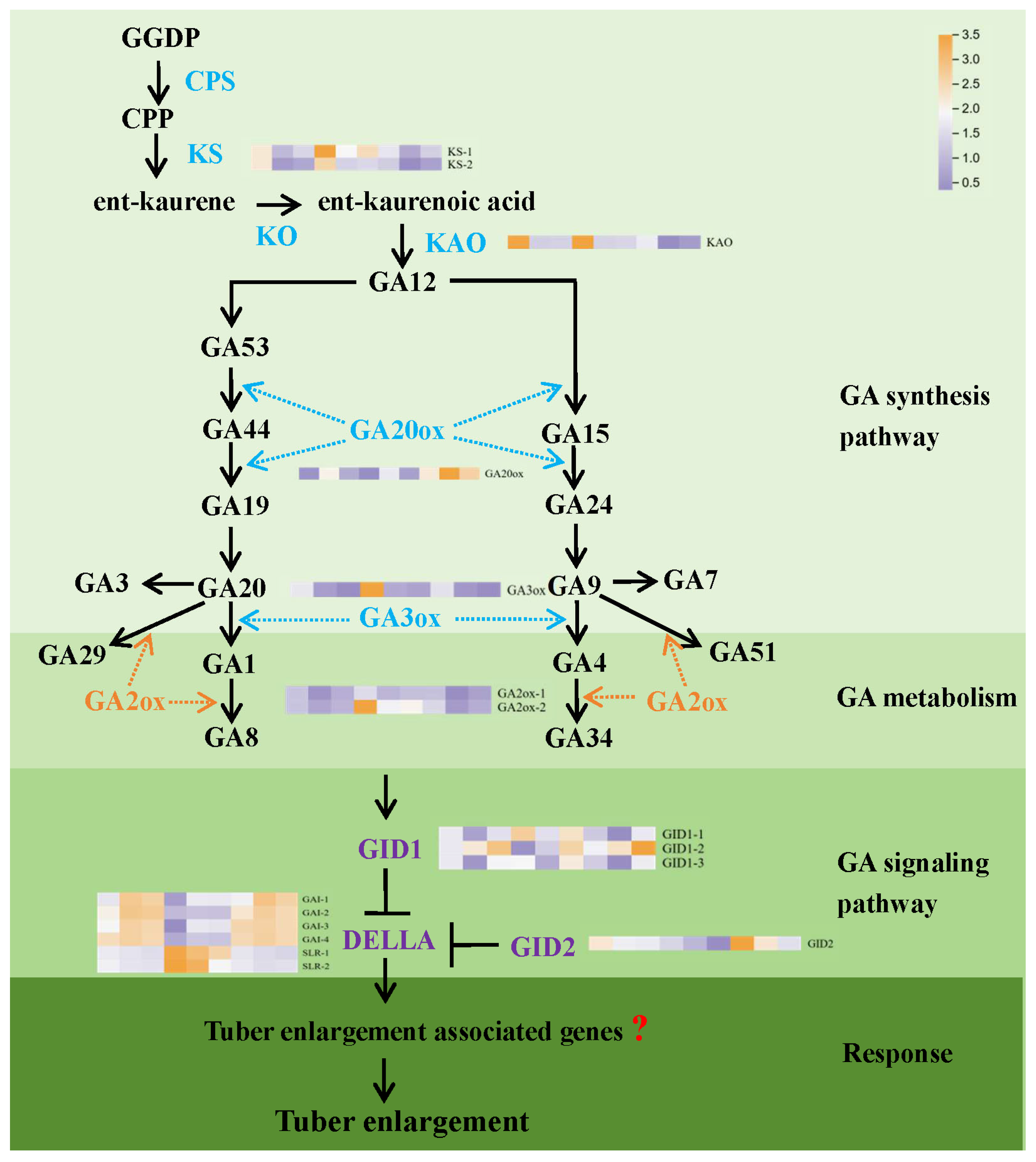 Biology 14 00635 g002
