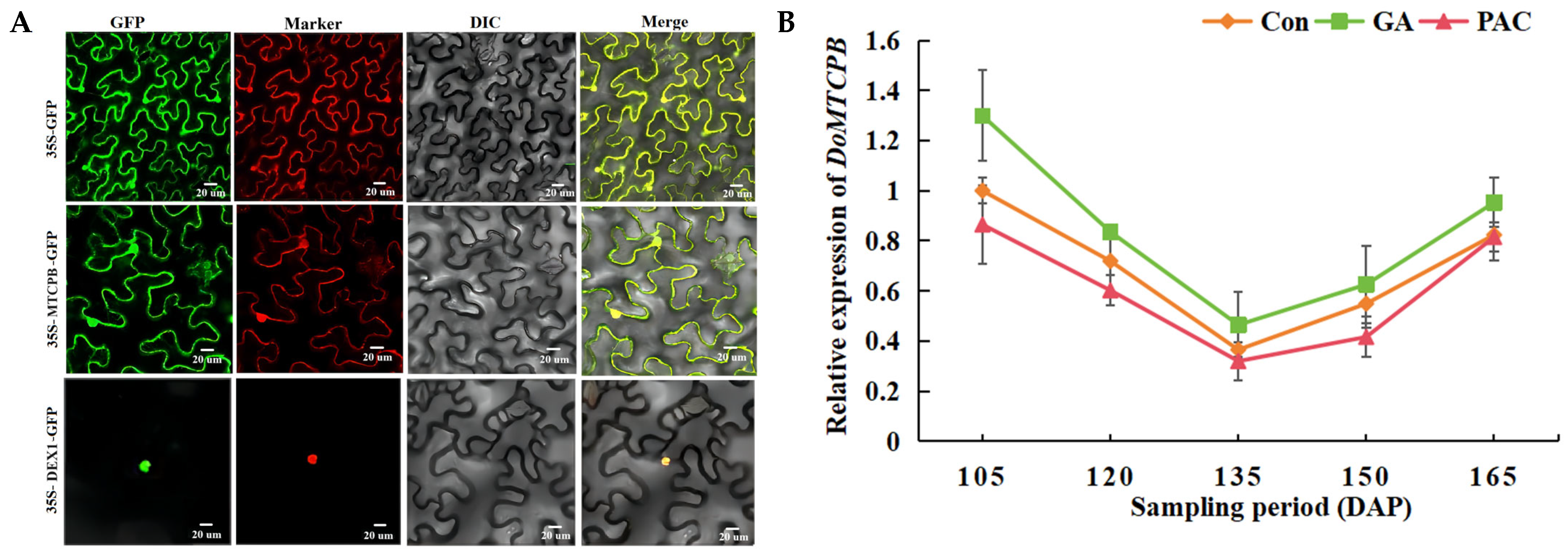 Biology 14 00635 g012