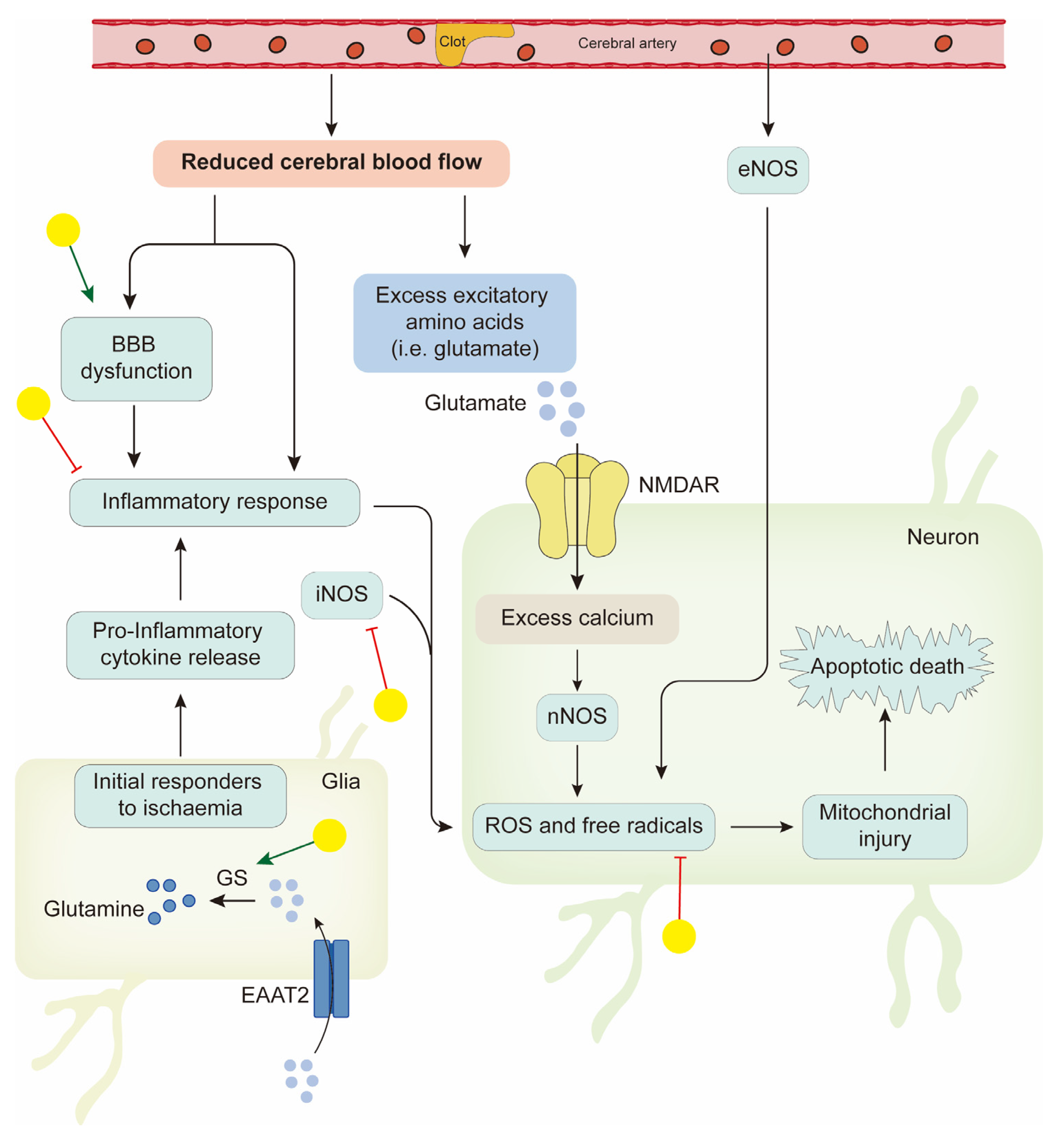 Biology 14 00637 g003