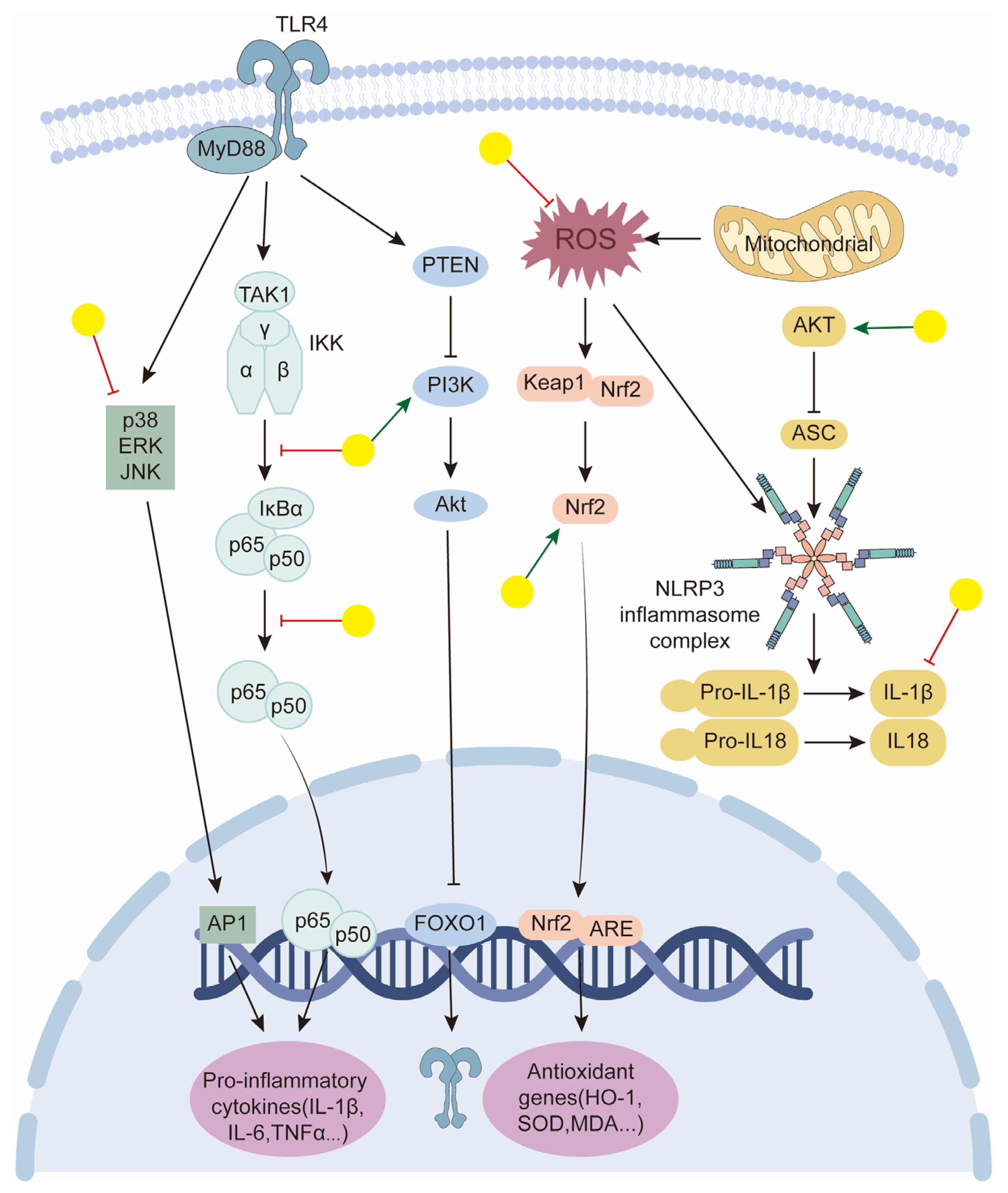 Biology 14 00637 g005