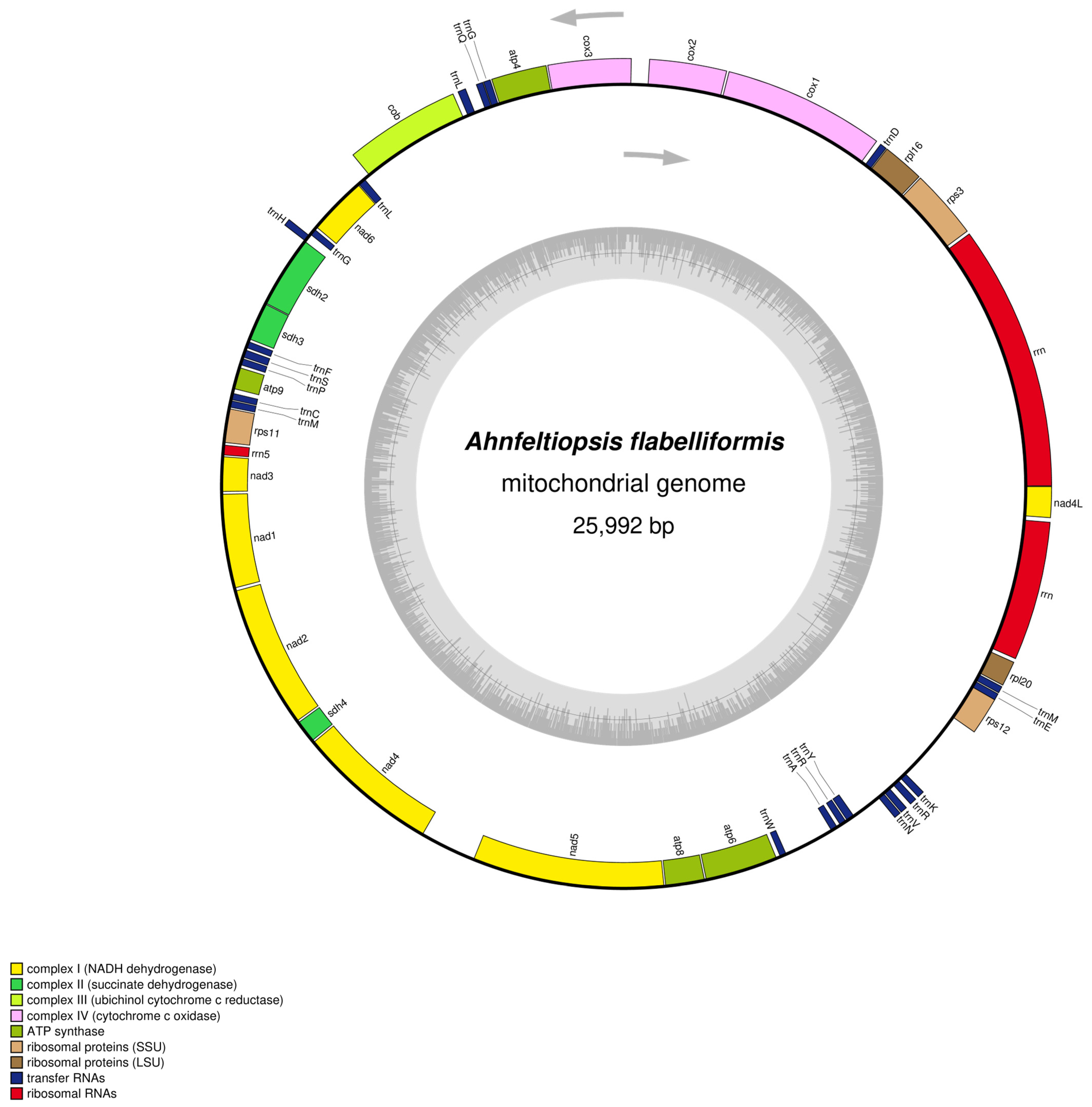 Biology 14 00638 g001