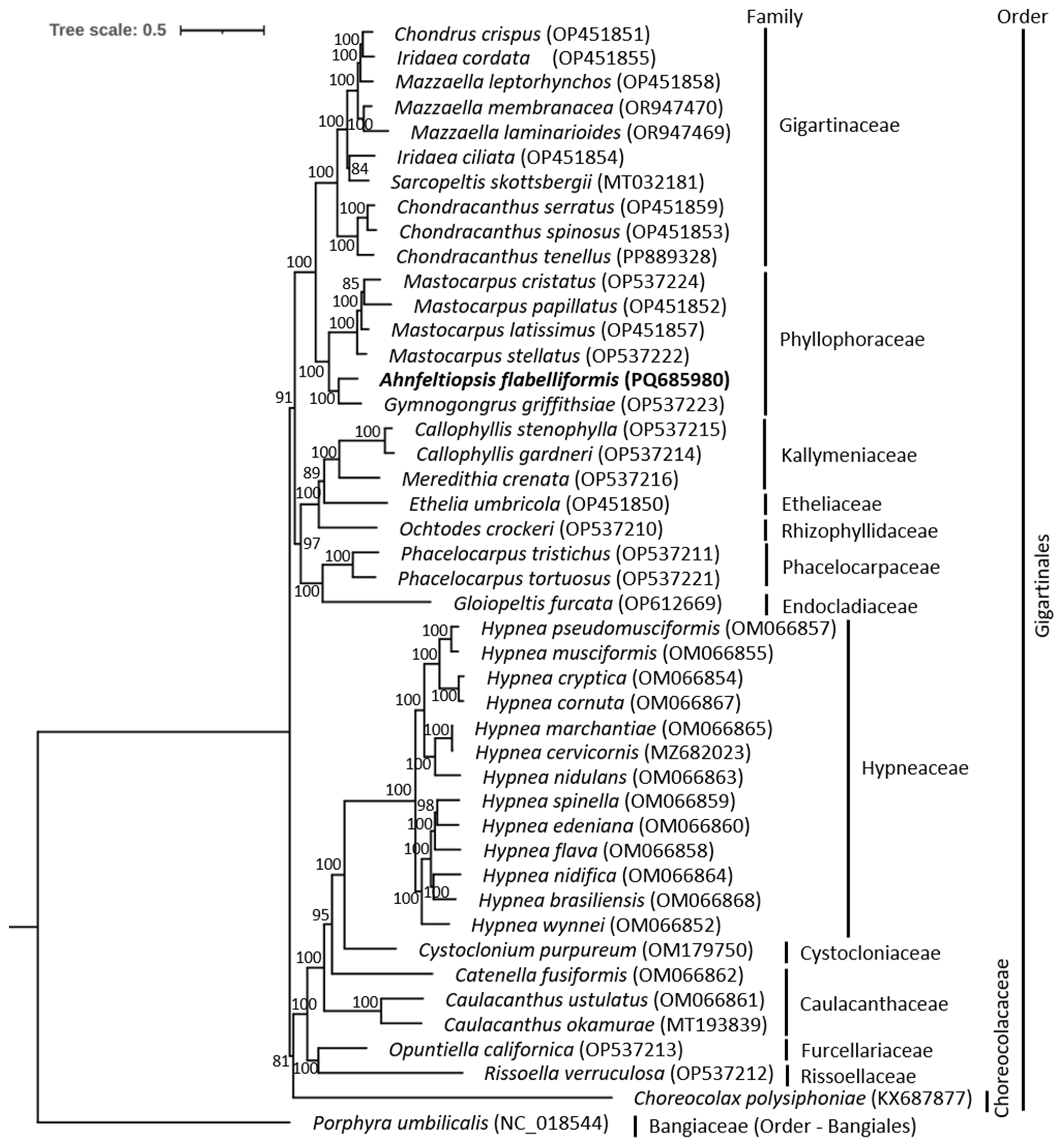 Biology 14 00638 g002