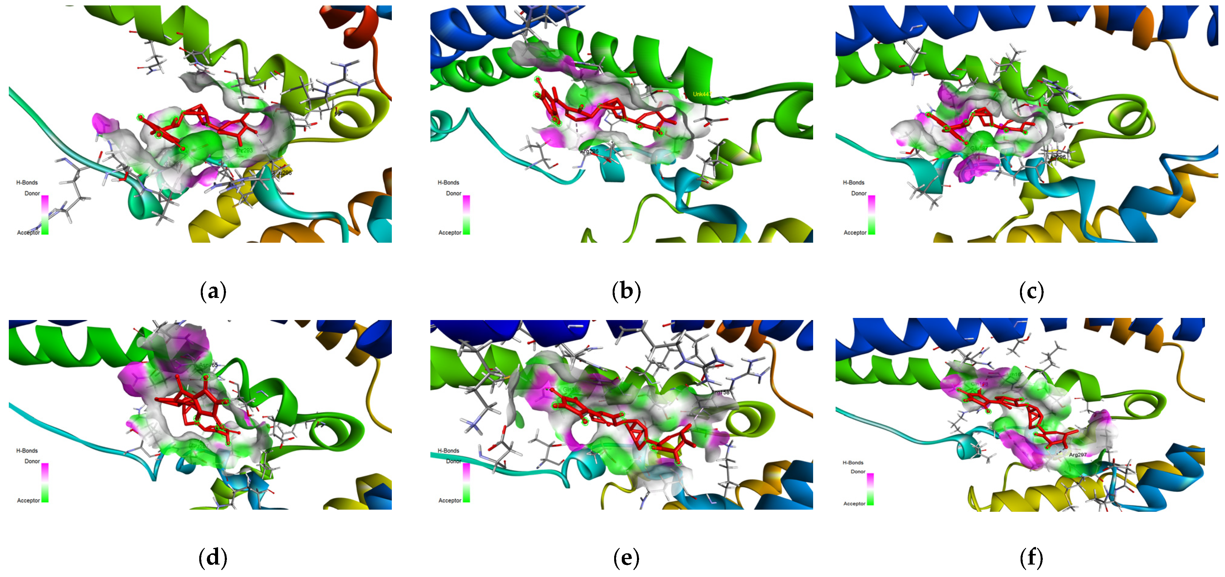 Biology 14 00639 g011