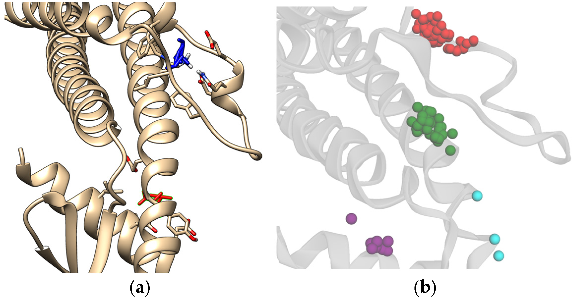 Biology 14 00639 g013