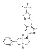 Biology 14 00639 i004