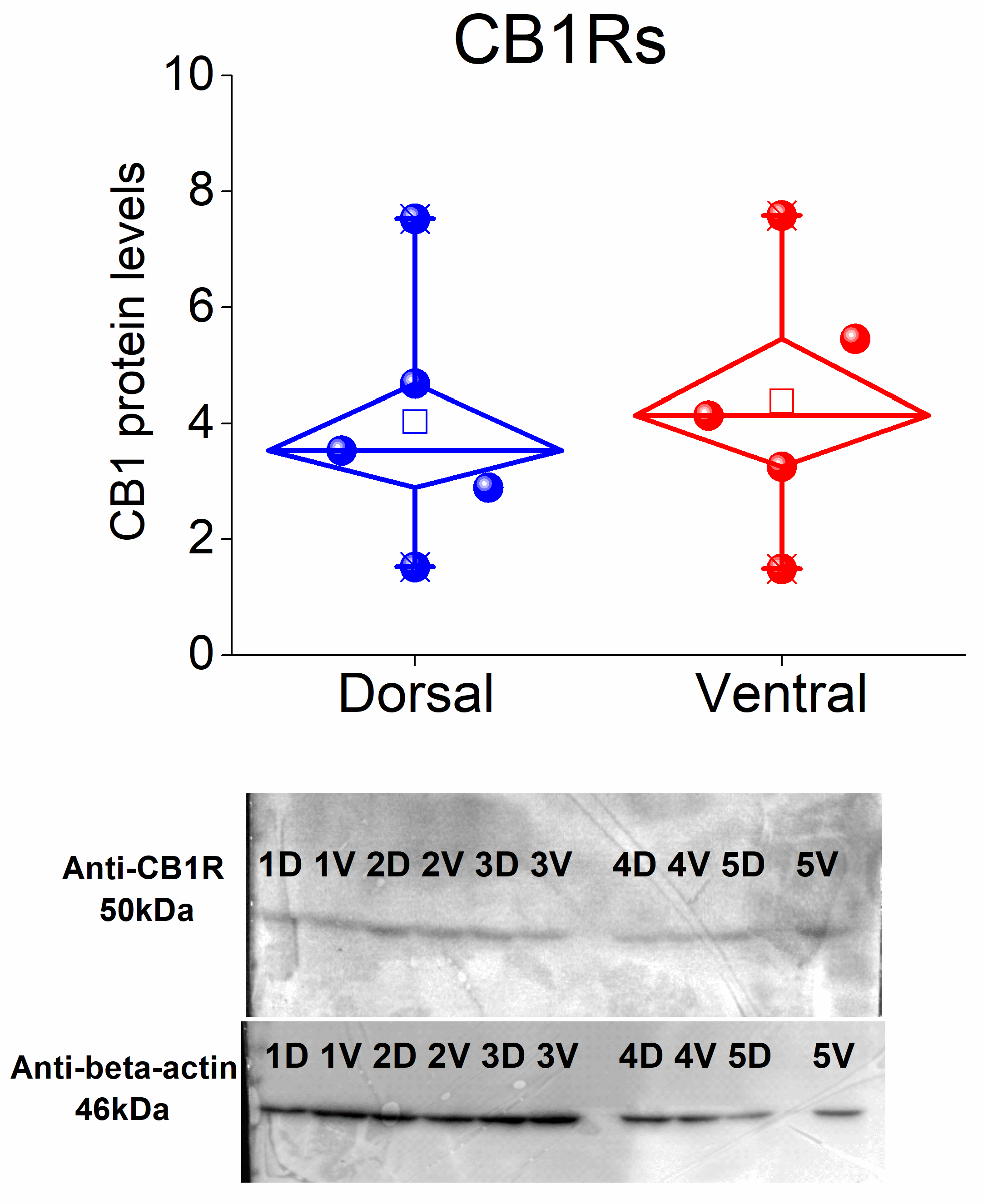 Biology 14 00642 g006