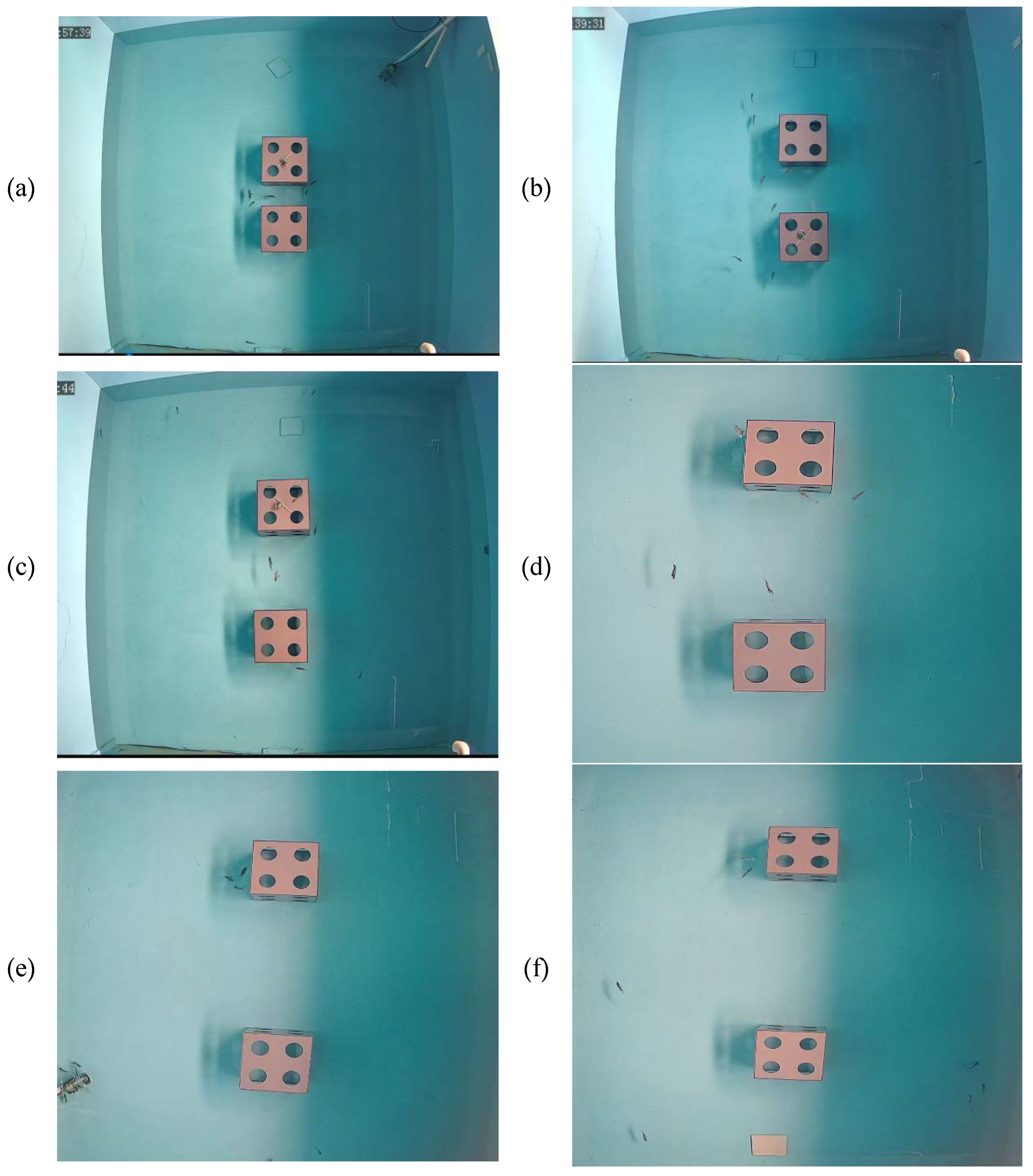 Biology 14 00644 g006