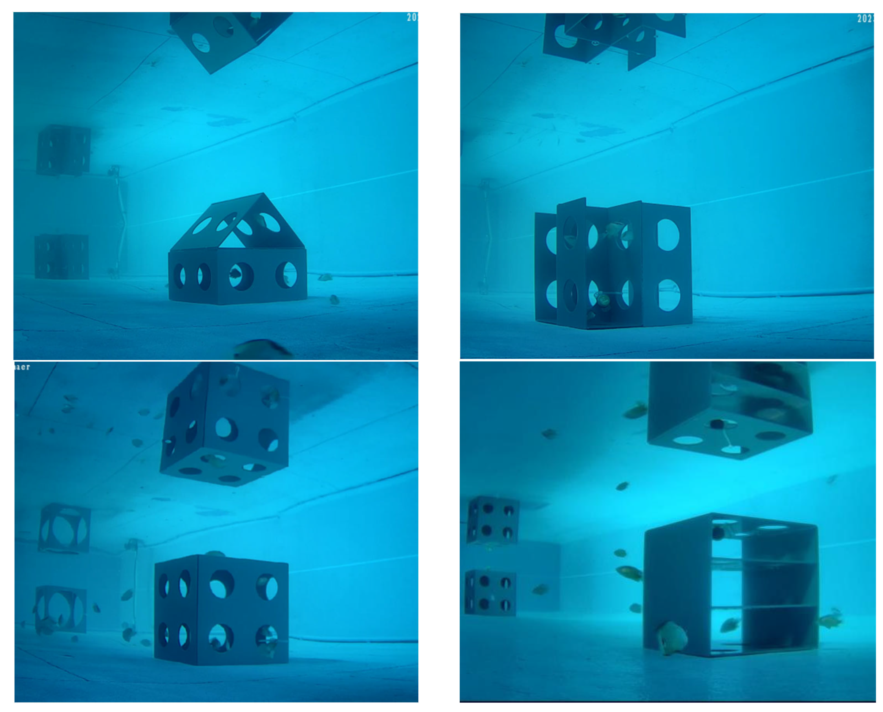 Biology 14 00644 g007