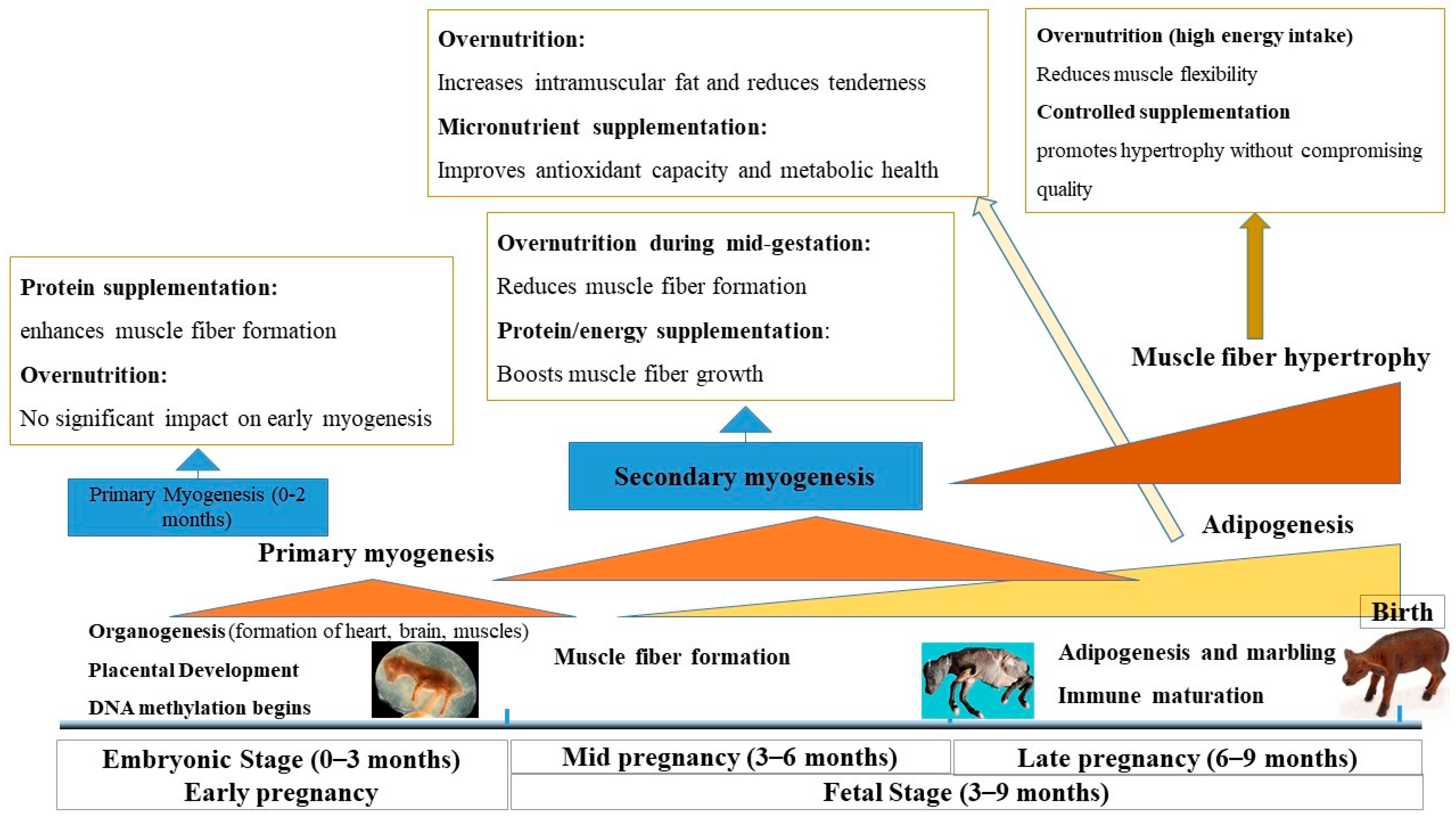 Biology 14 00645 g001 Biology 14 00645 g001