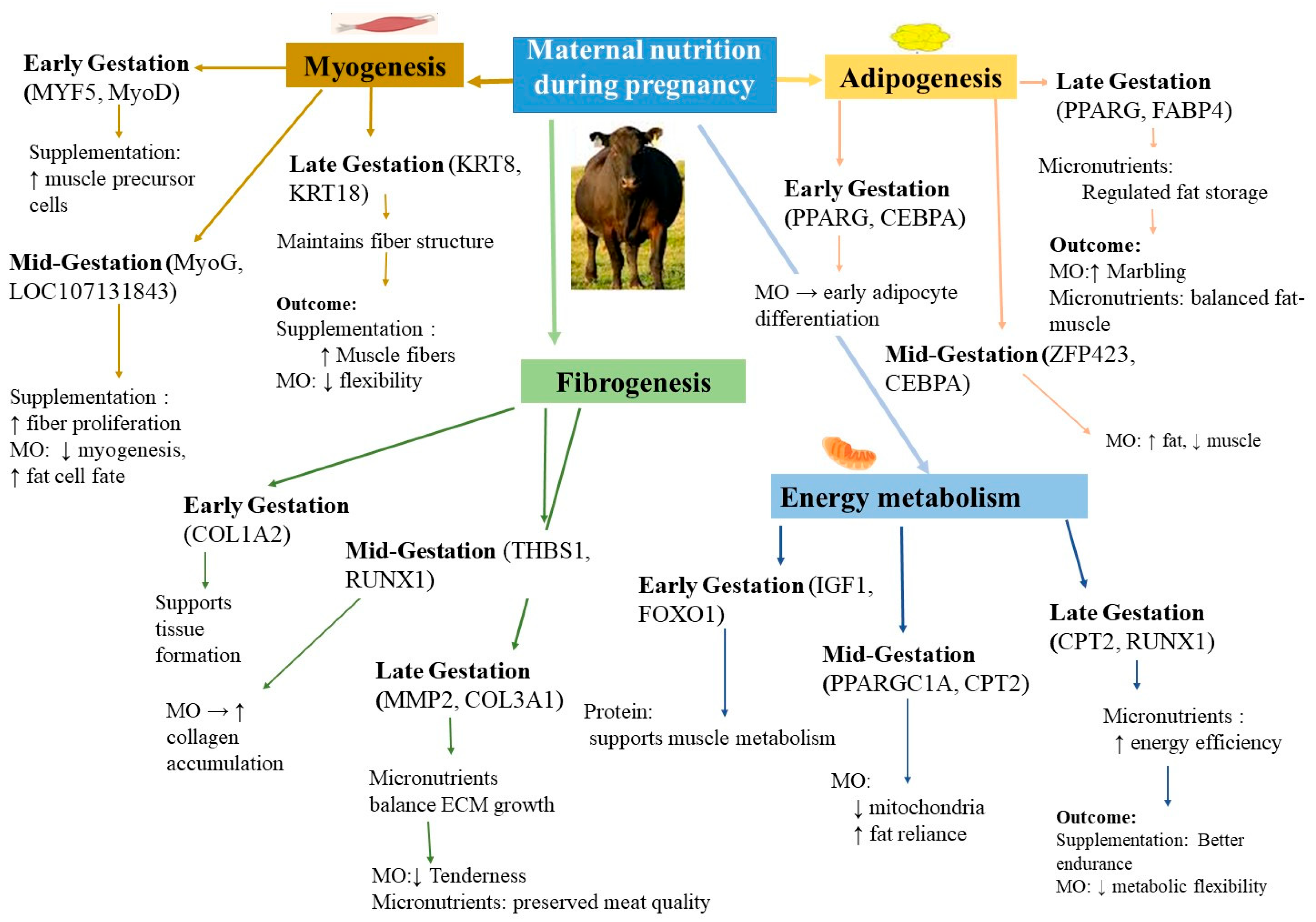 Biology 14 00645 g002 Biology 14 00645 g002