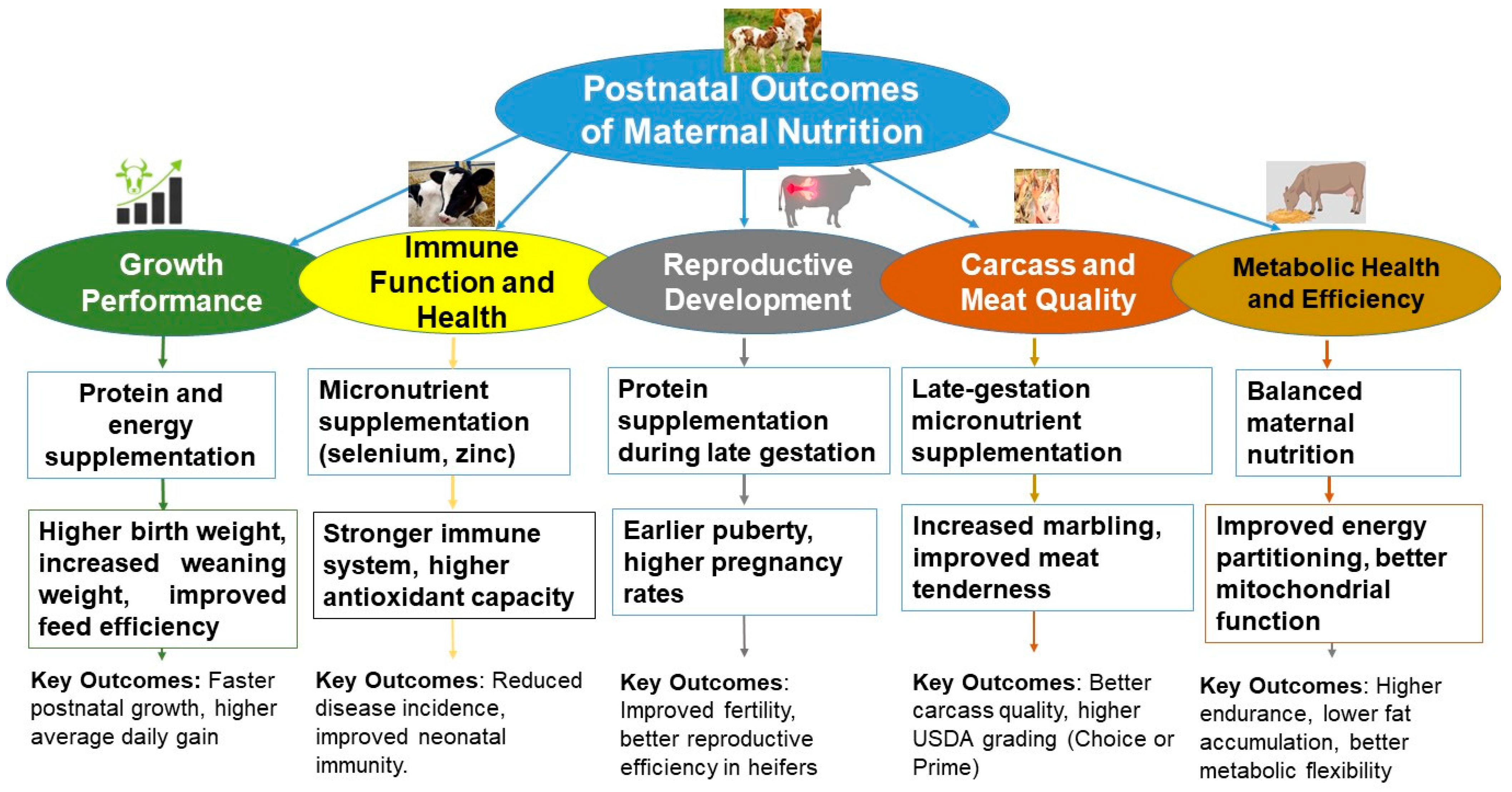 Biology 14 00645 g004 Biology 14 00645 g004