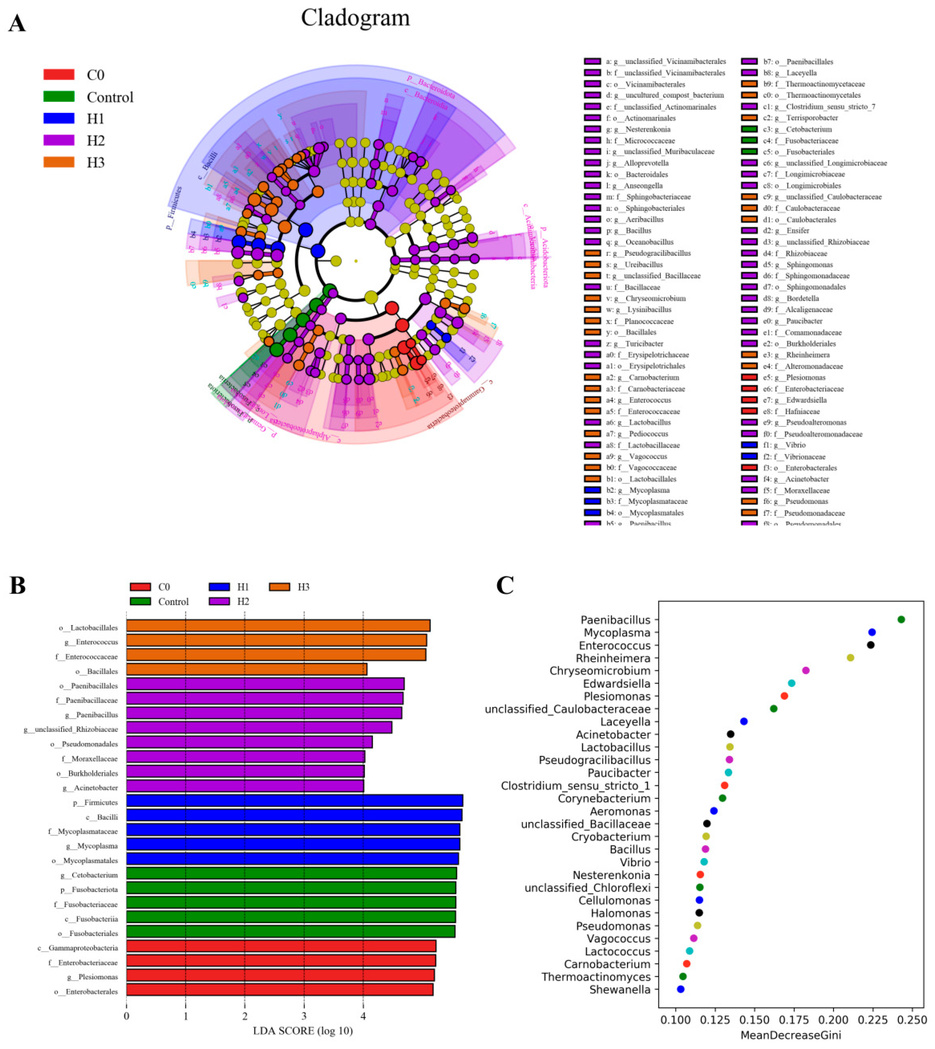Biology 14 00646 g006