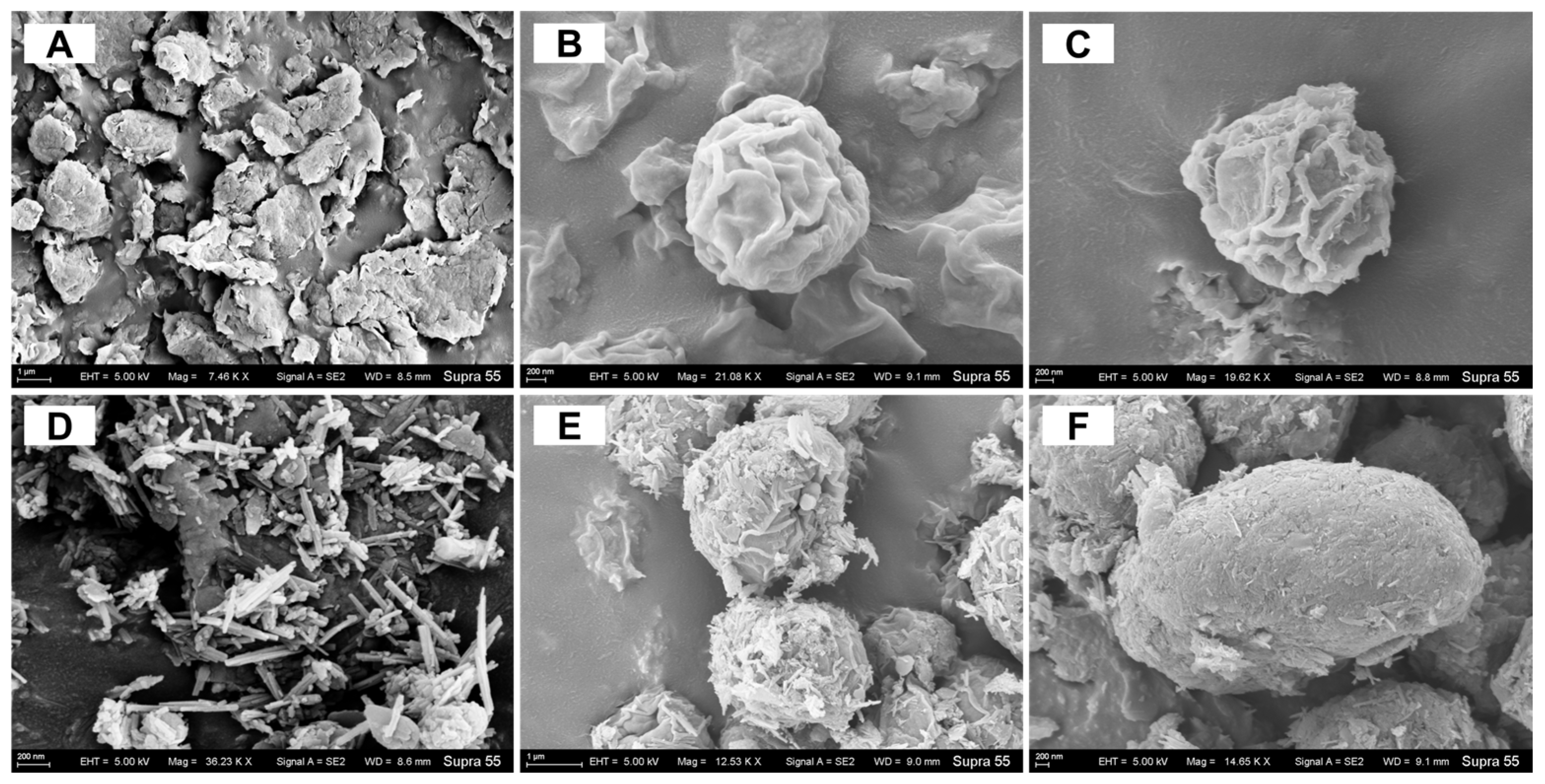 Biology 14 00647 g006