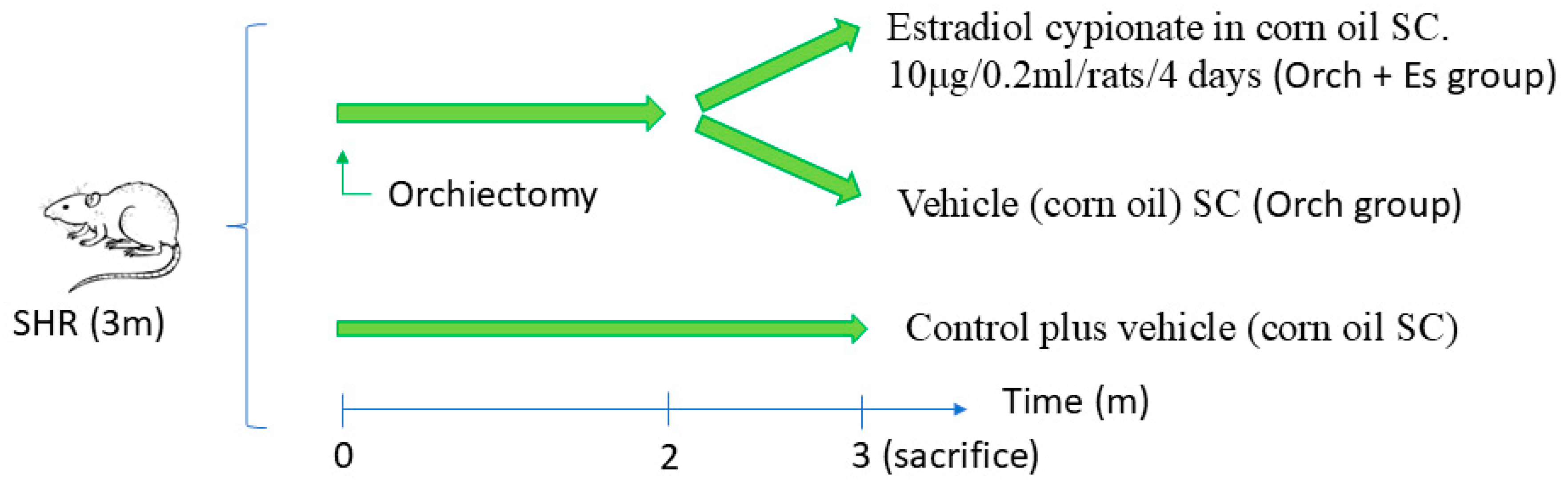 Biology 14 00650 g001