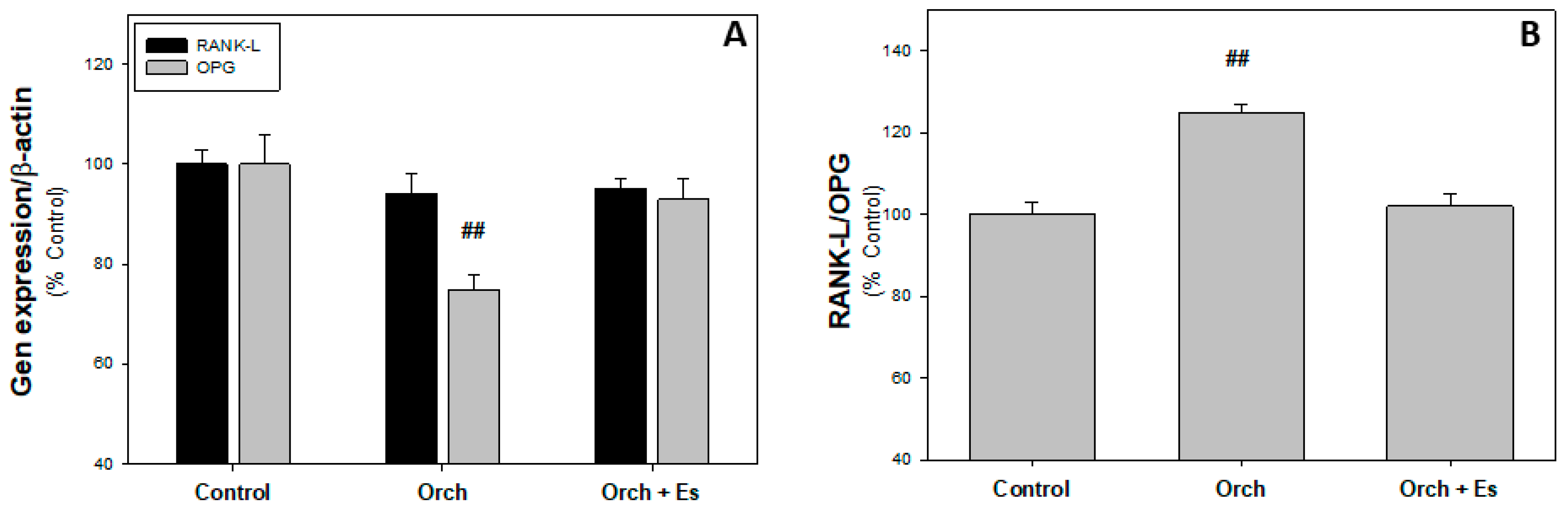Biology 14 00650 g004