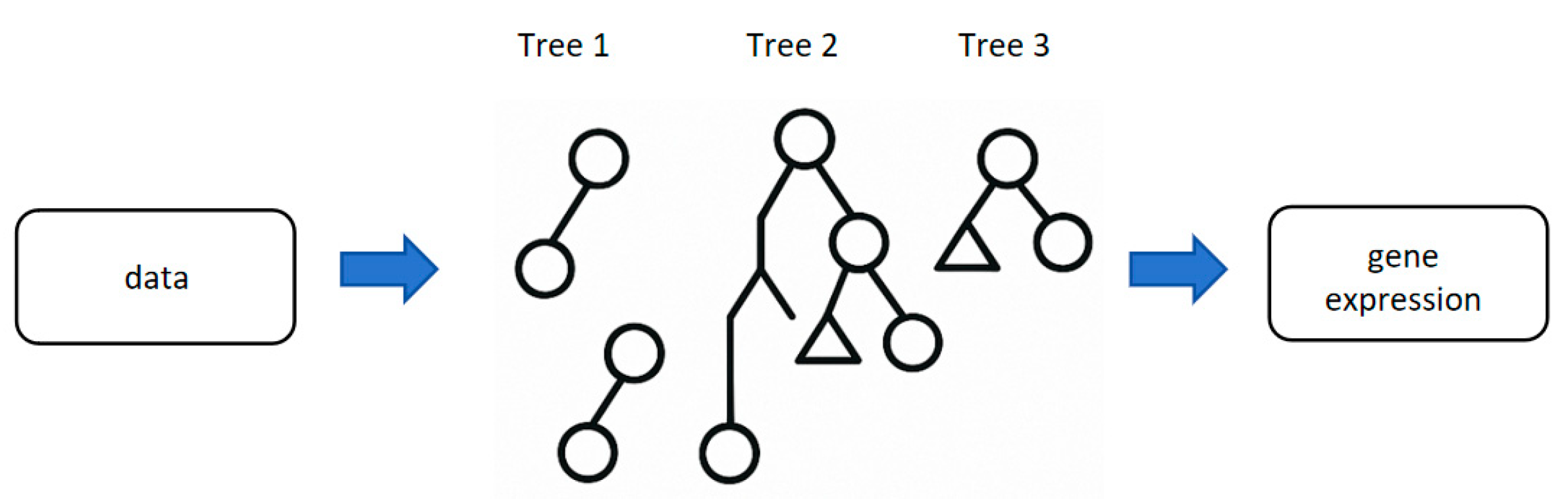 Biology 14 00651 g004