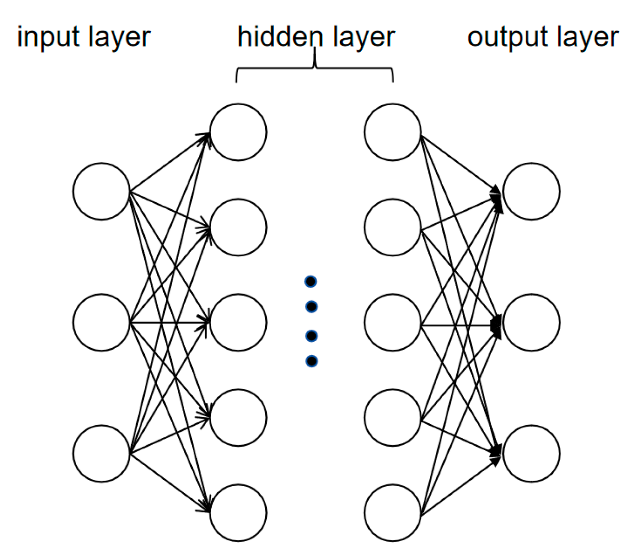 Biology 14 00651 g005