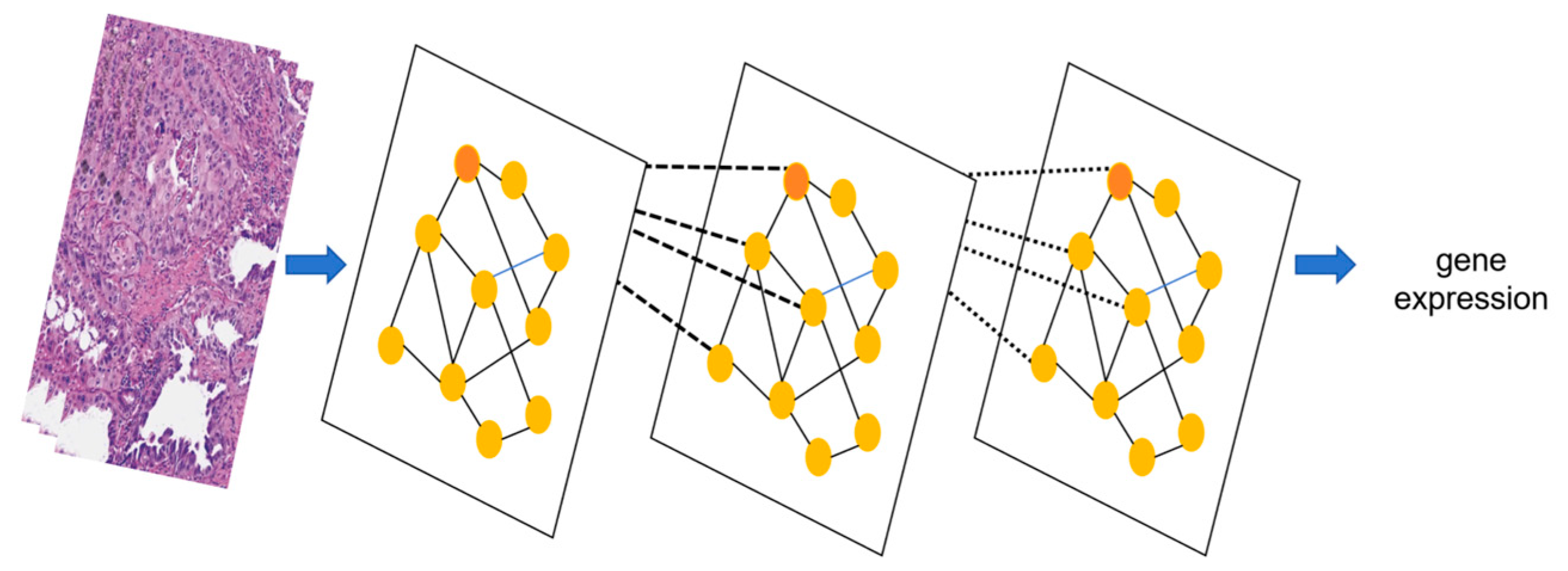 Biology 14 00651 g006