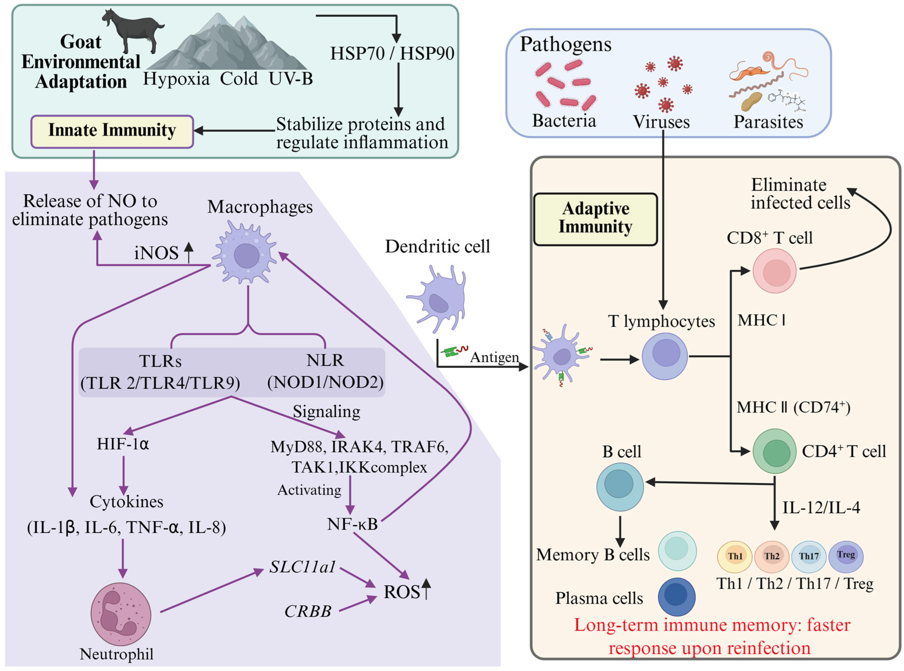 Biology 14 00654 g002