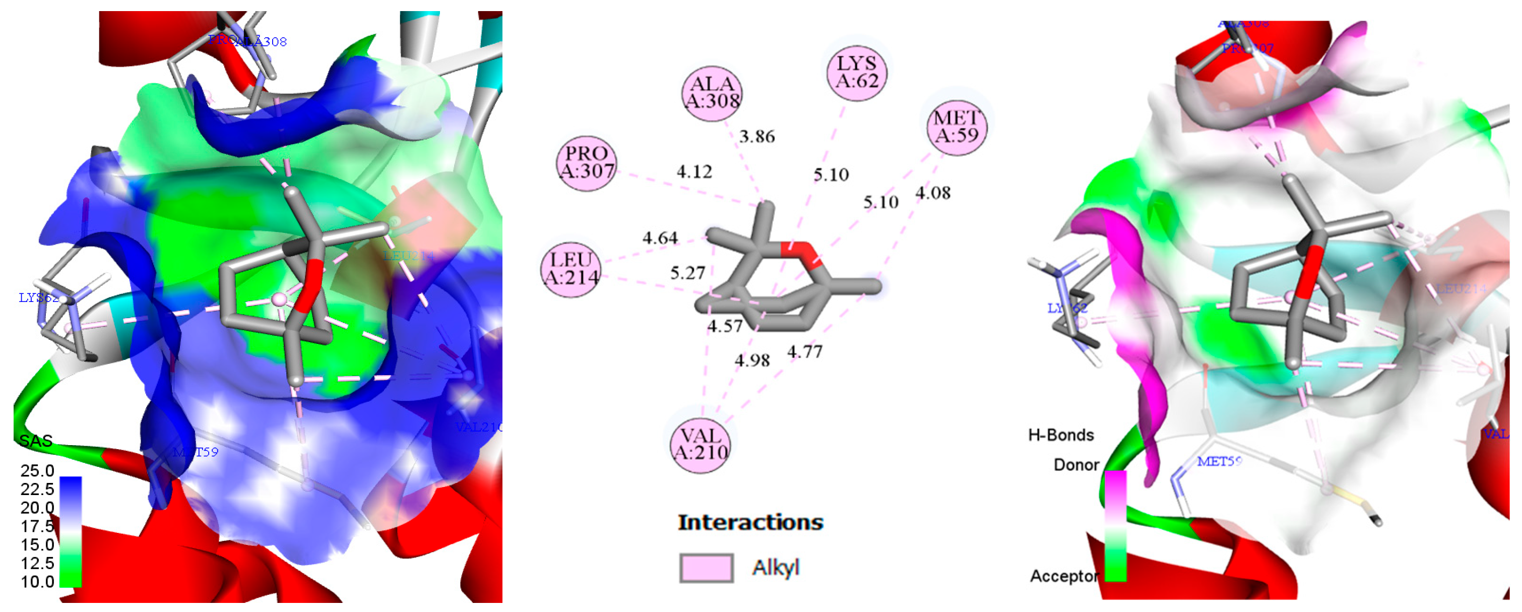 Biology 14 00657 g006