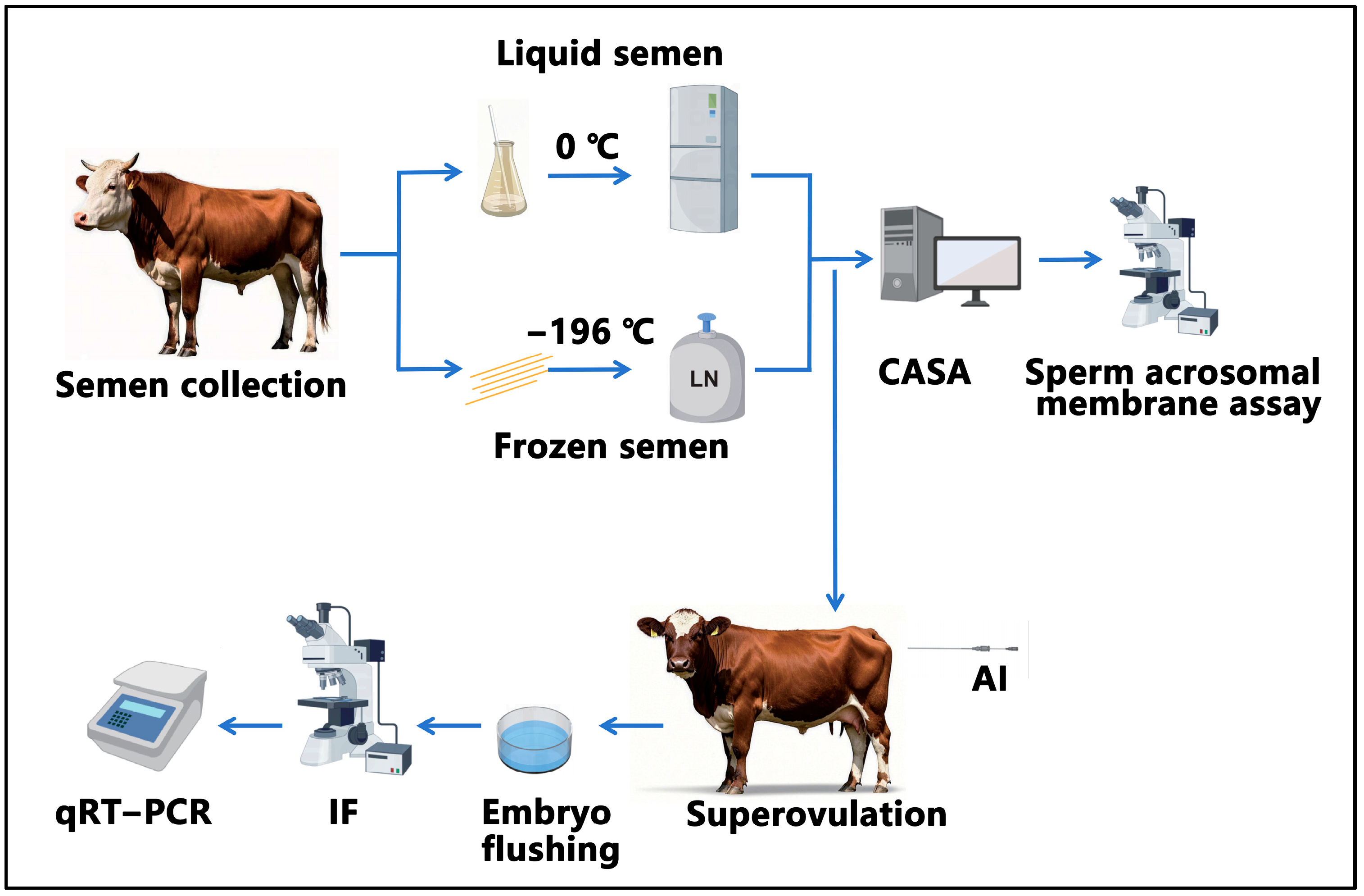 Biology 14 00658 g001