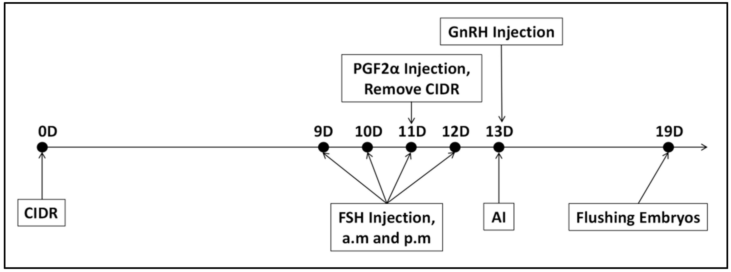 Biology 14 00658 g002