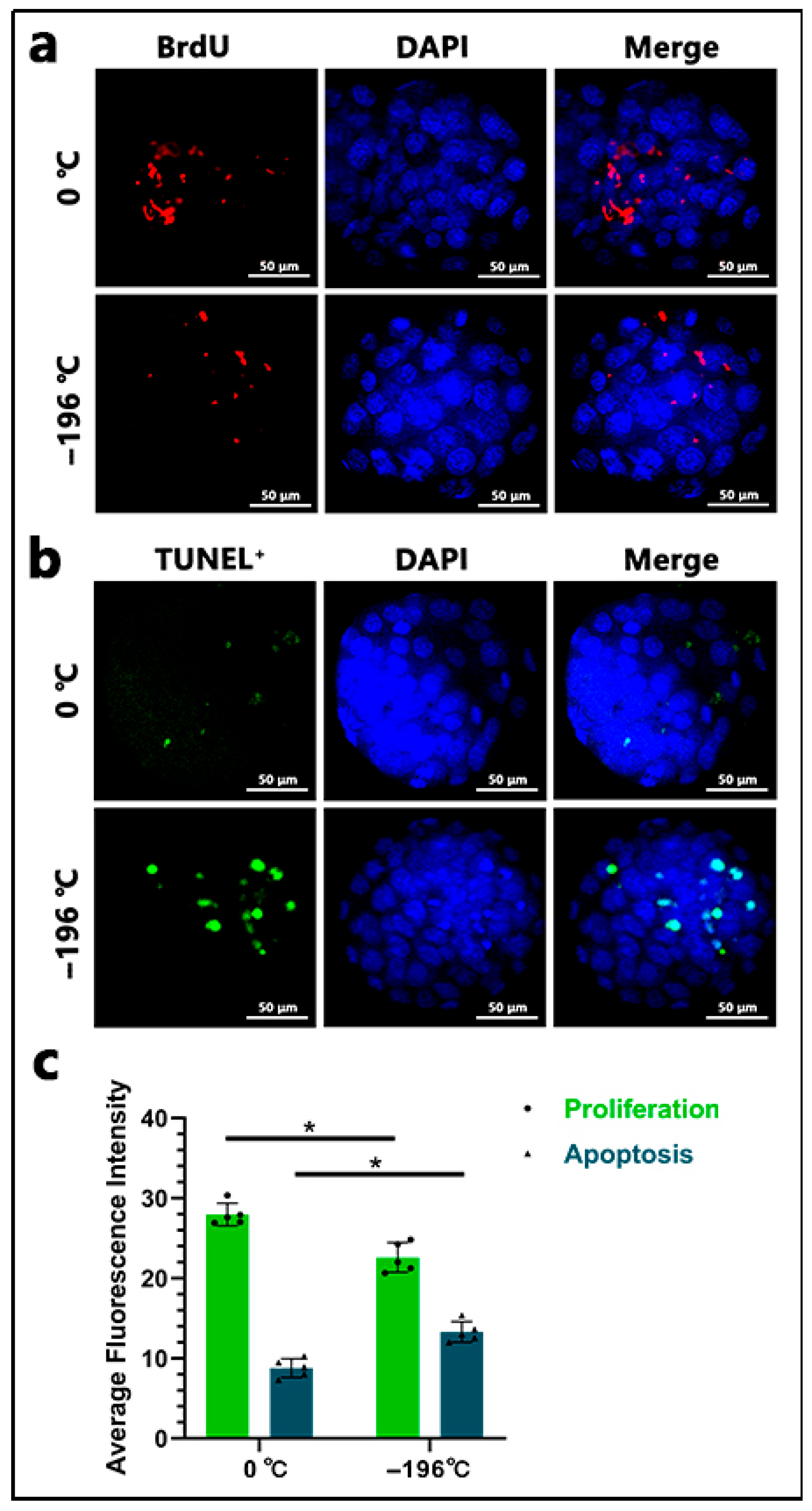 Biology 14 00658 g006